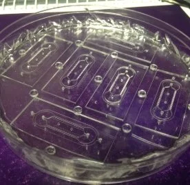 Microfluidic Mold