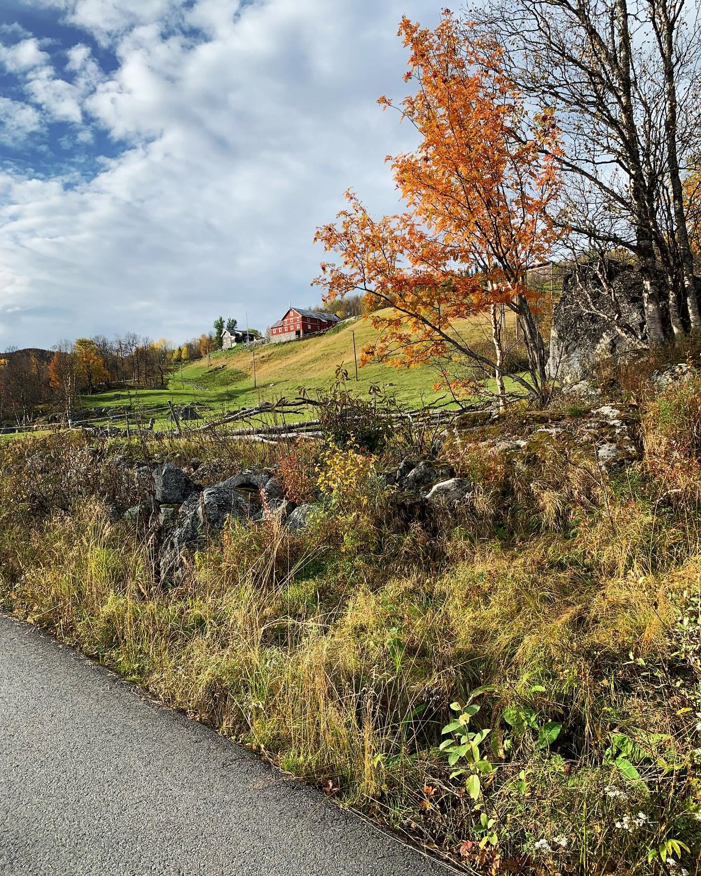 Takk for i &aring;r, Skarslia! Vi har hatt en fin sommer og h&oslash;st i &aring;r ogs&aring;🍁🍂Takk for alle de fine turene med b&aring;de nye og gamle kunder! Ses igjen neste &aring;r!💛🧡🤎❤️ #hestur_no #islandshest #skarsliaskiogakesenter #visit