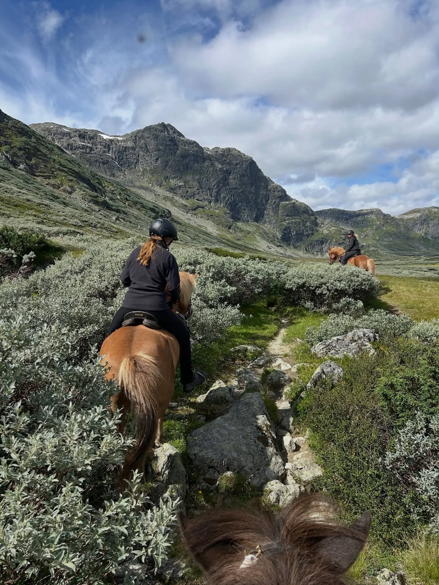 Turer p&aring; islandshest i vakker &Aring;l-natur!⛰️

Vi teller ned til sommerferien og gleder oss til &aring; ta med b&aring;de nye og kjente p&aring; ridetur! 

Vi tilbyr turer for sm&aring; og store, korte turer, halvdagsturer, dagsturer og en 3-