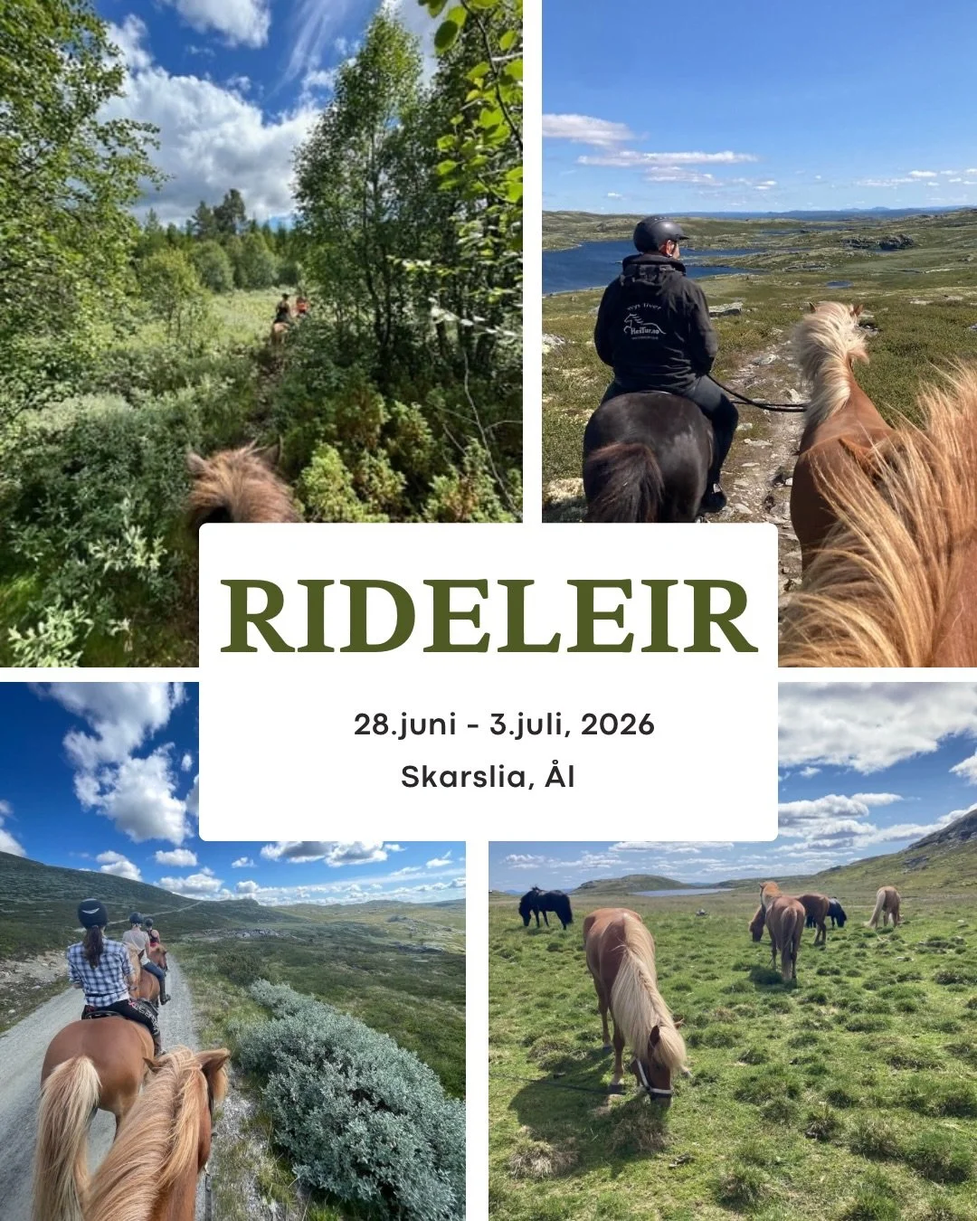🐴 vi gleder oss til rideleir p&aring; Skarslia denne sommeren! P&aring;melding og sp&oslash;rsm&aring;l sendes til: hestur.no@gmail.com