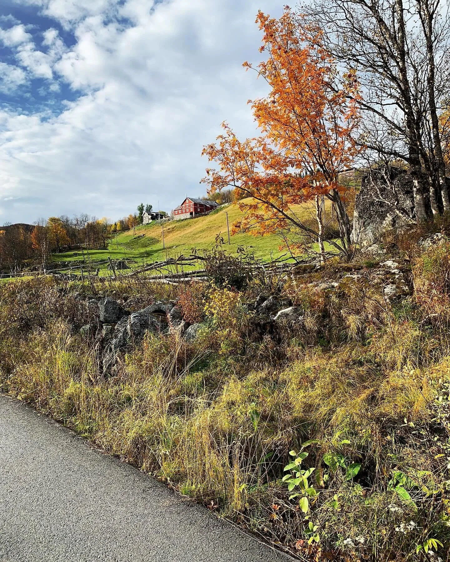 Kj&aelig;re venner! Vi ser oss dessverre n&oslash;dt til &aring; avlyse ridingen ved Skarslia i h&oslash;stferien! Dette pga b&aring;de personalmangel og andre oppgaver her hjemme. Vi beklager dette men ser fram til &aring; komme sterkere tilbake som