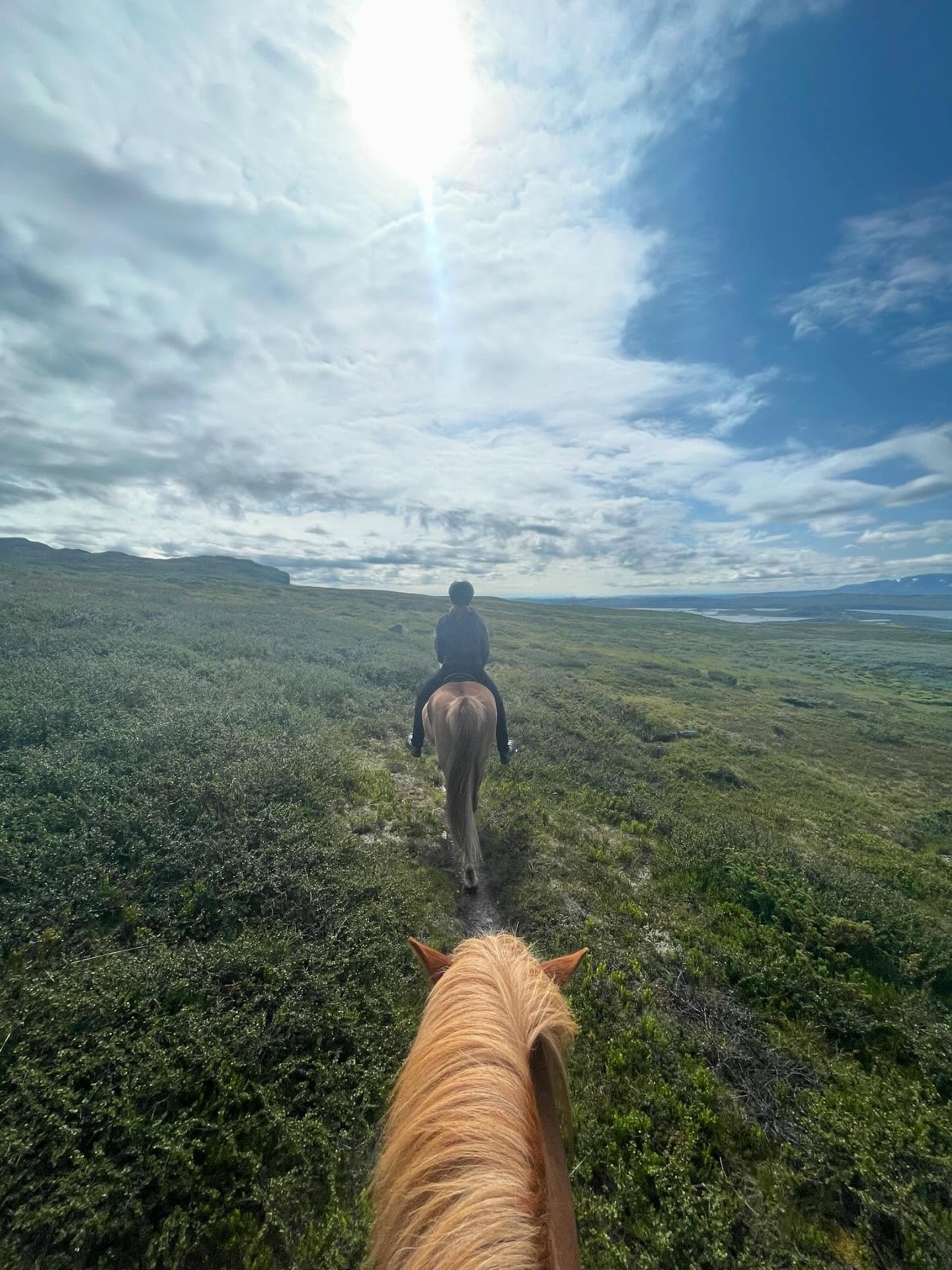 &Aring;rets tredagerstur rundt Reineskarvet er gjennomf&oslash;rt🙌☀️ #horse #horsebackriding #visitalihallingdal #visit&aring; #visitnorway #hallingdal #&aring;lihallingdal