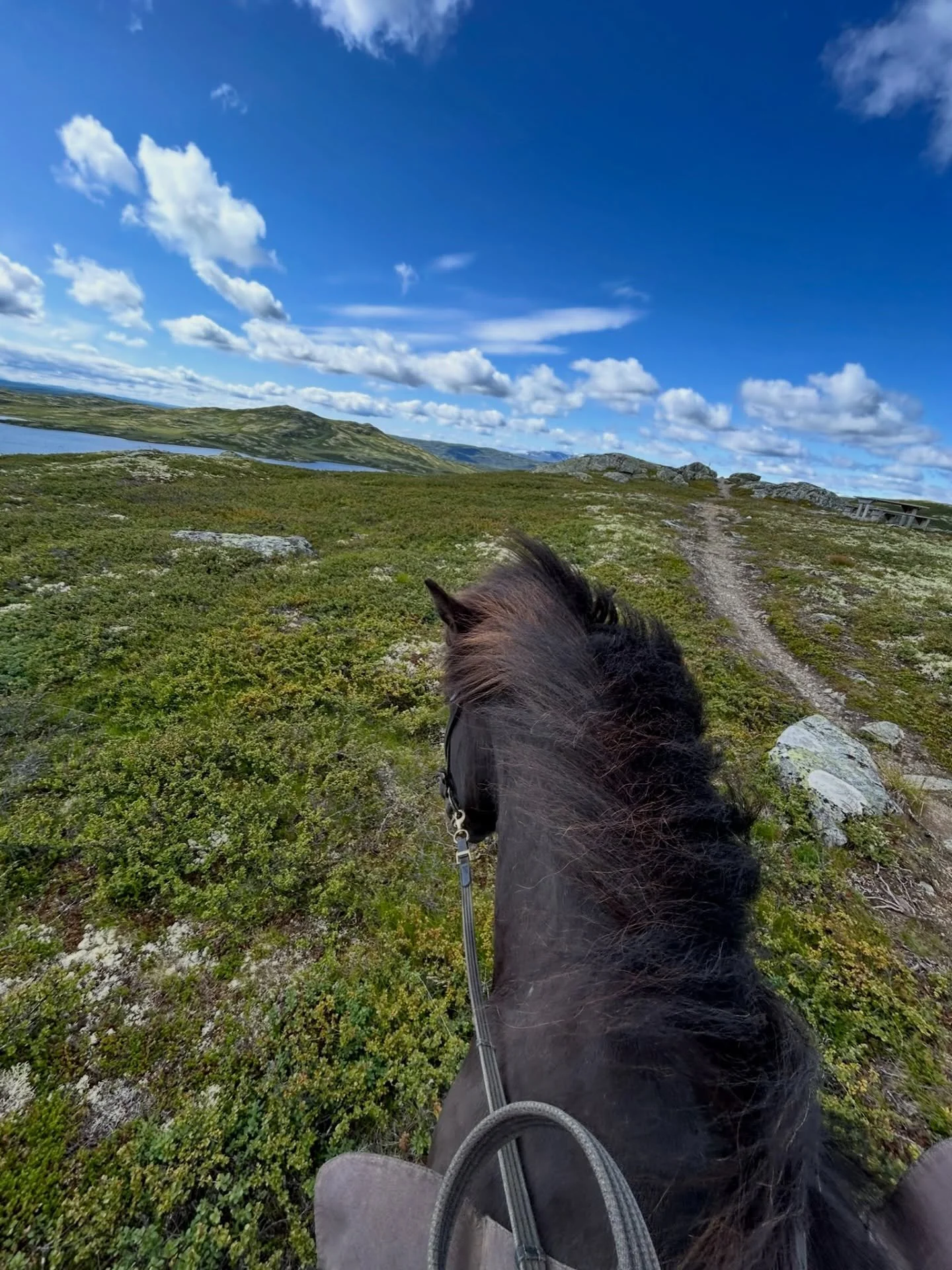Vi gleder oss til denne fantastiske utsikten!☀️⛰️