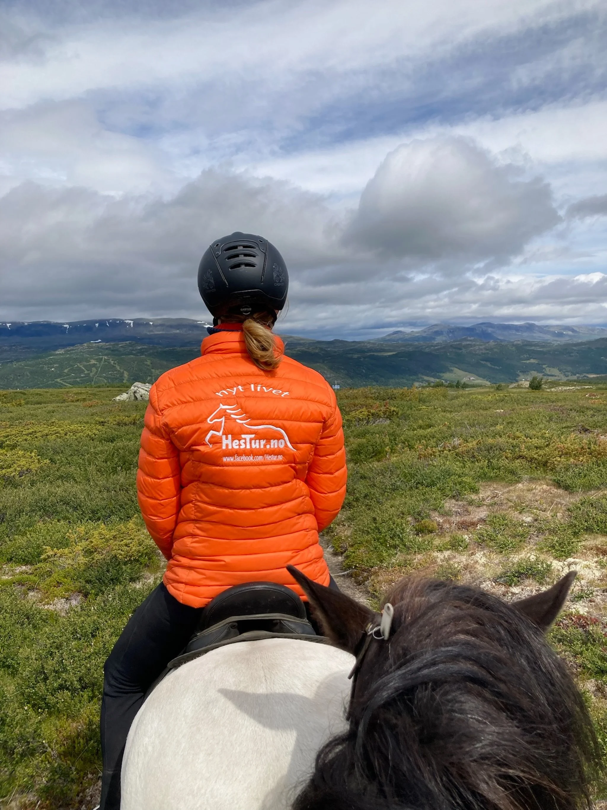Vi har noen ledige plasser p&aring; rideleir 28.juni til 3 juli! Dette er for de mellom 10-15 &aring;r🐴 Vi gleder oss masse til noen hyggelige dager med ridning og moro😃 Ta kontakt p&aring; mail for sp&oslash;rsm&aring;l og p&aring;melding!