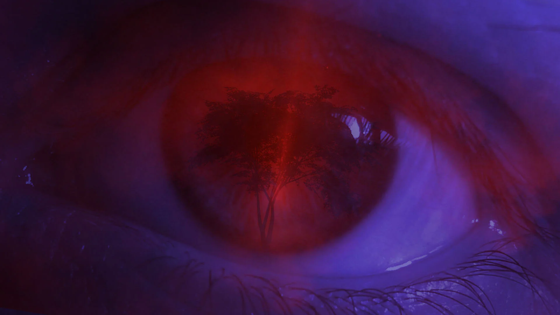 BOND_1_eye 2 (0.00.00.11).jpg
