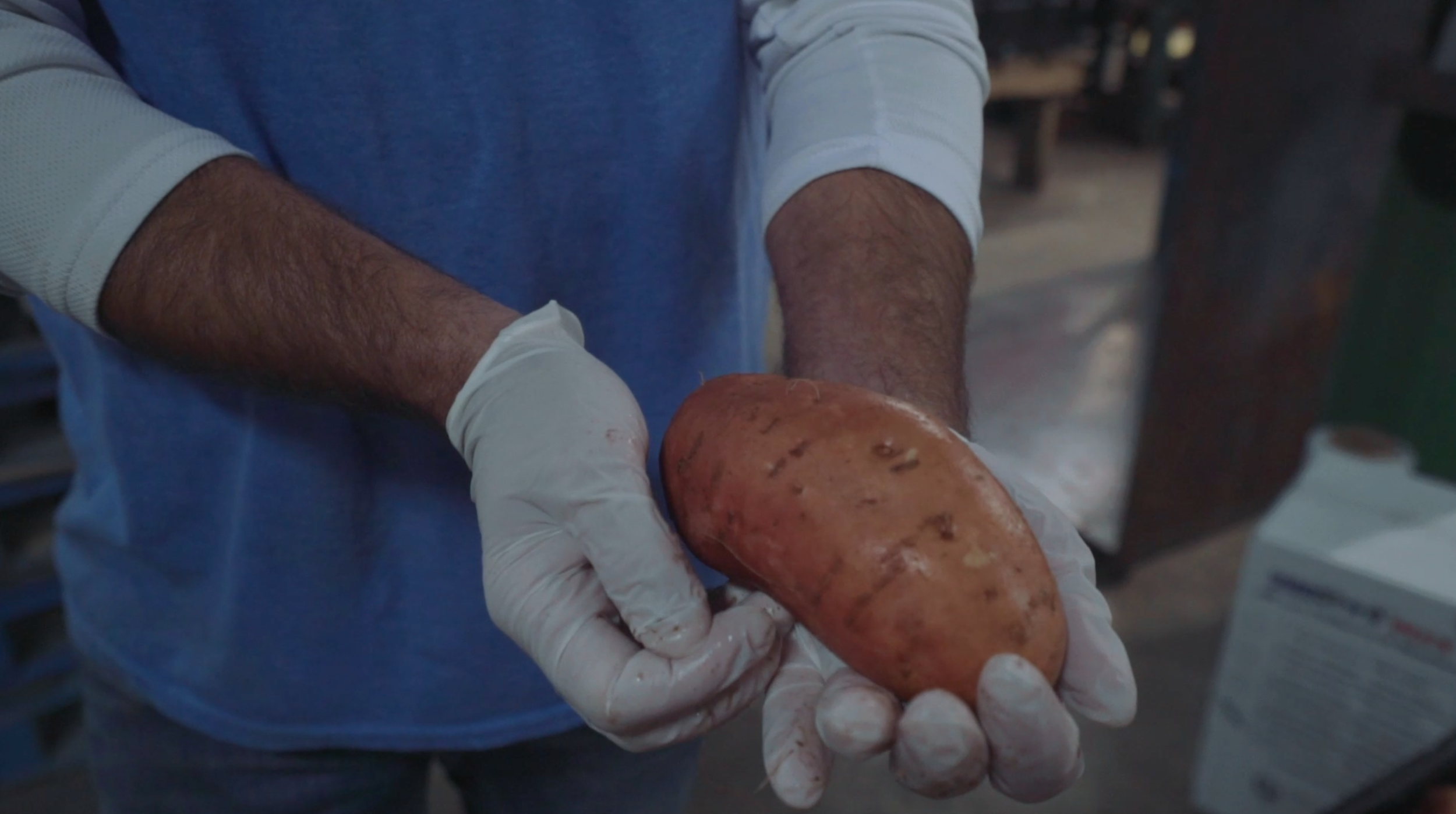 The Lifeblood of Vardaman