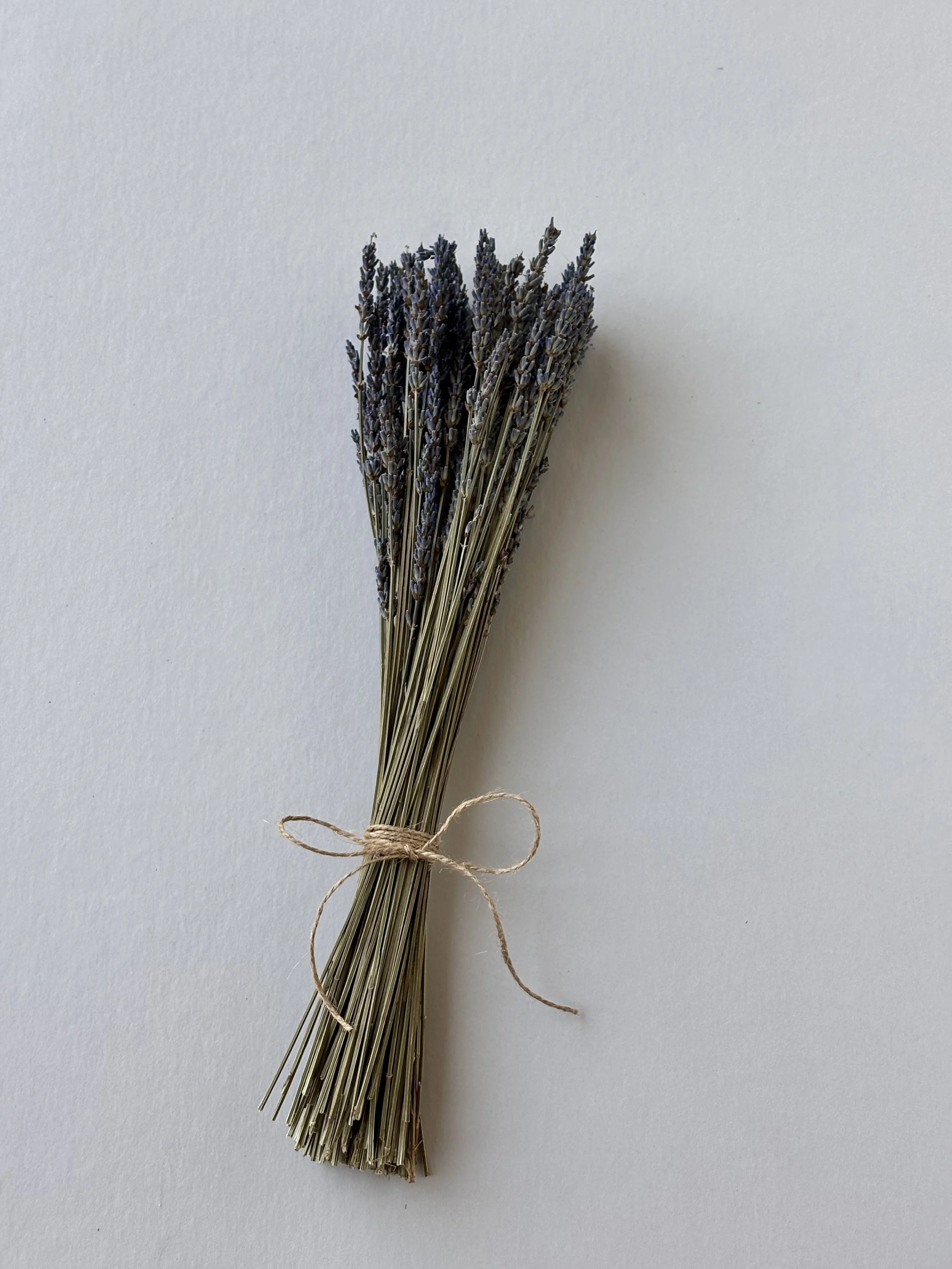 Dried Lavender