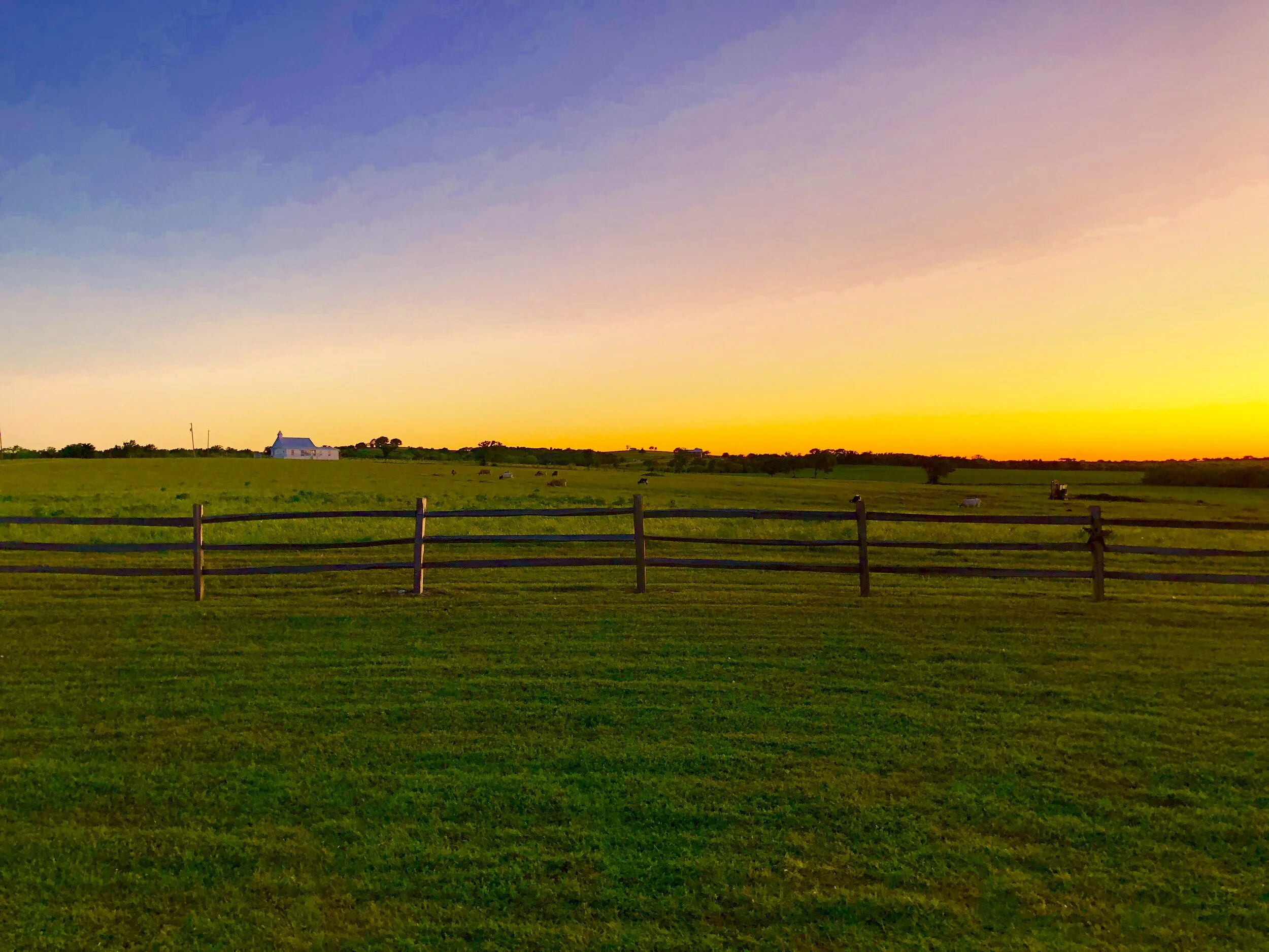 front pasture at sunset