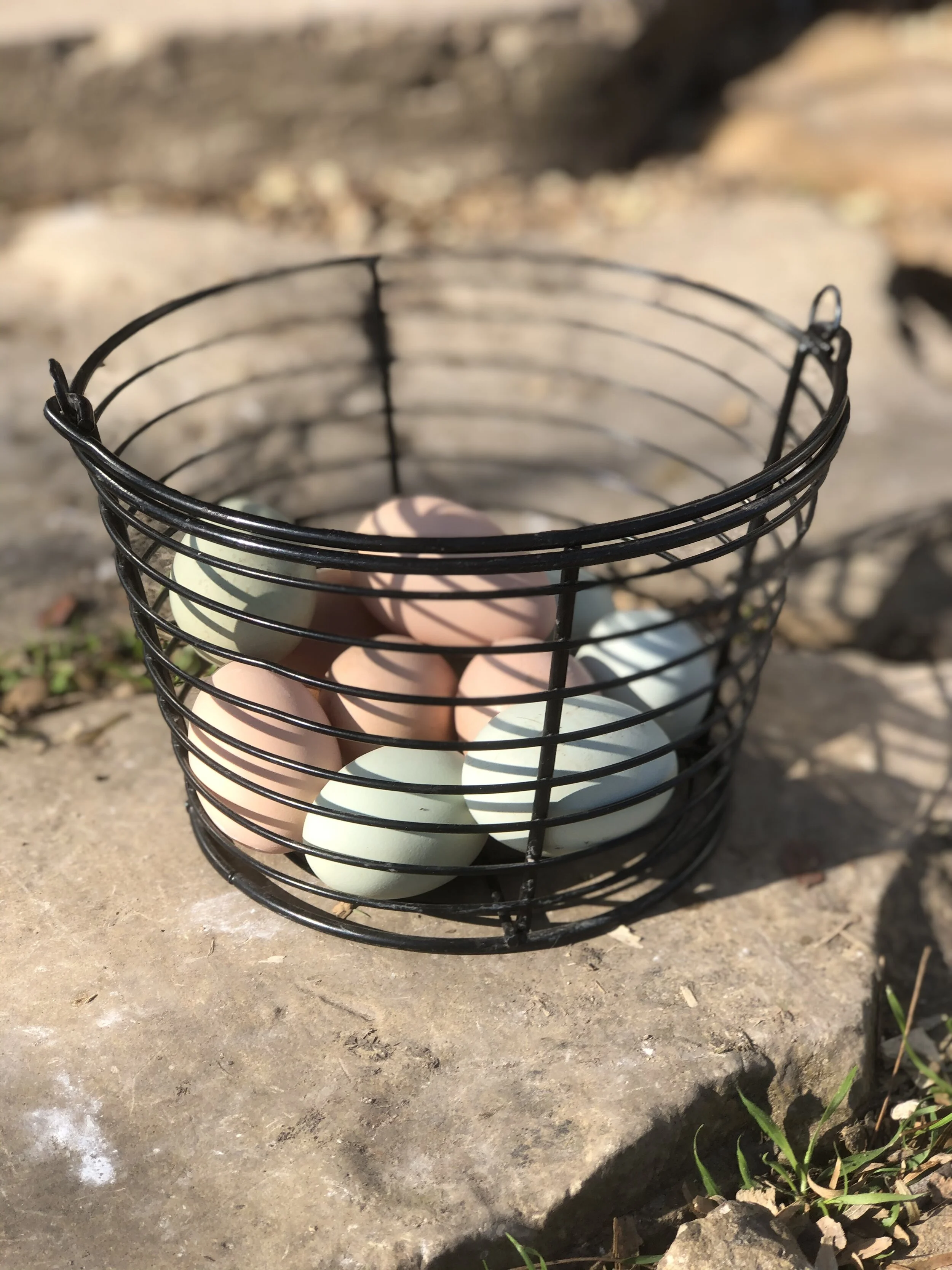 basket of eggs