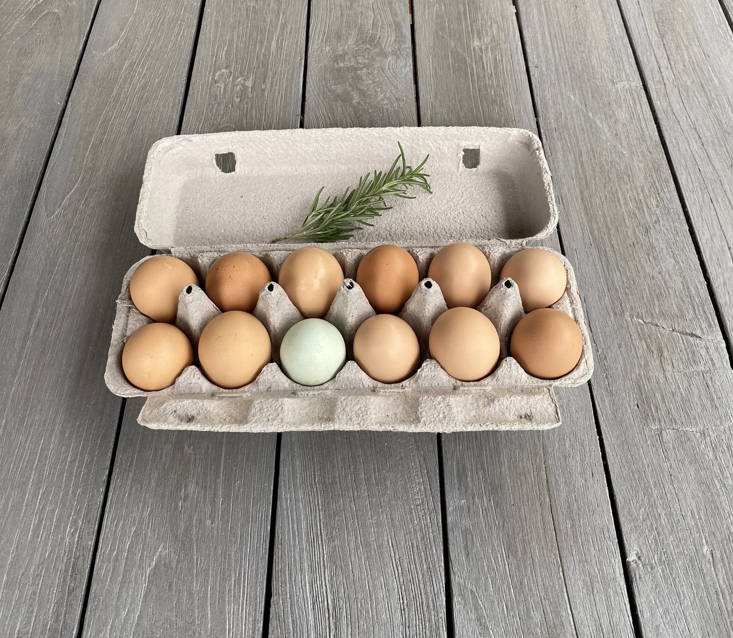 Chicken Eggs, 1 dozen