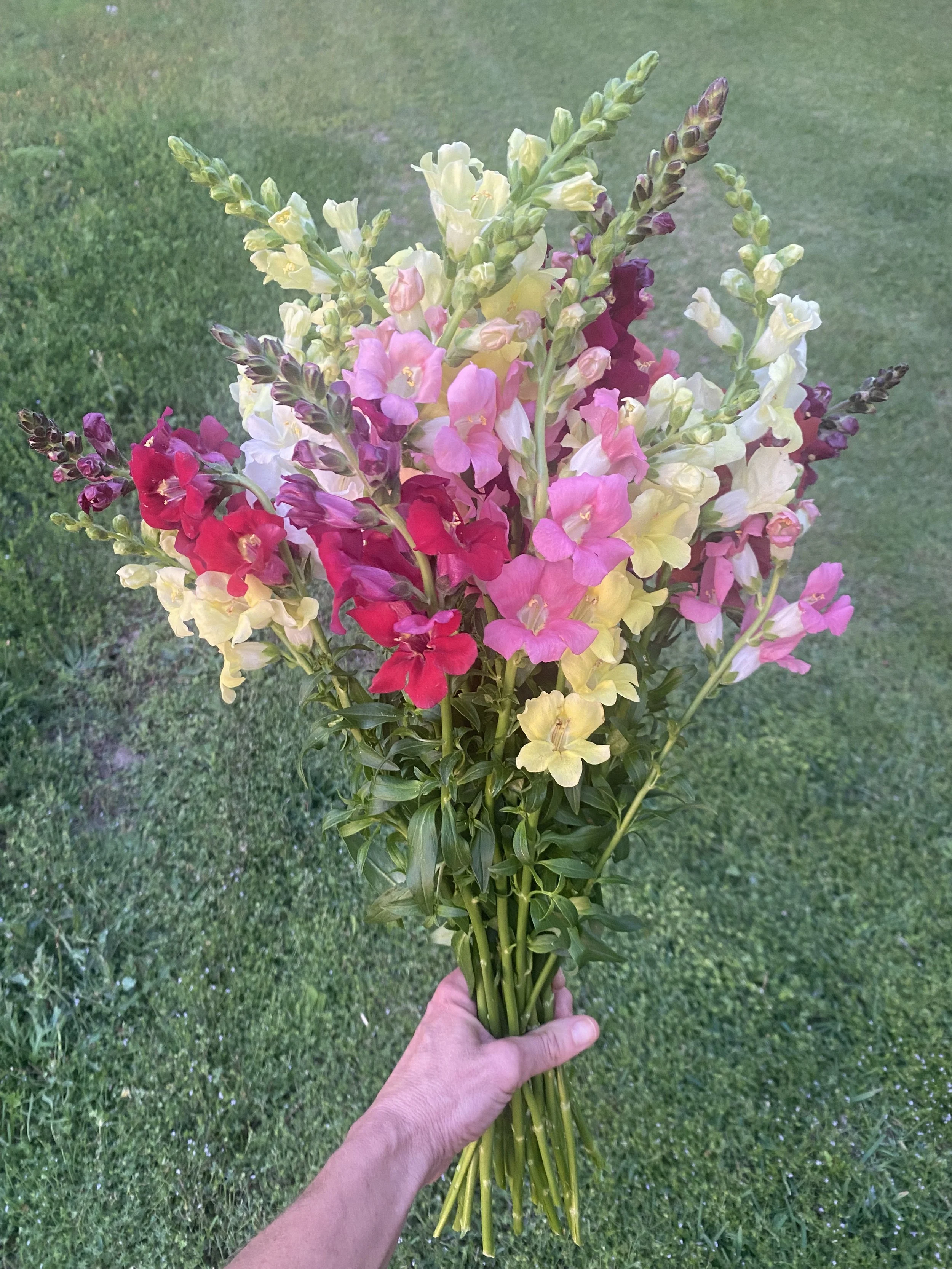 Fresh Seasonal Bunch