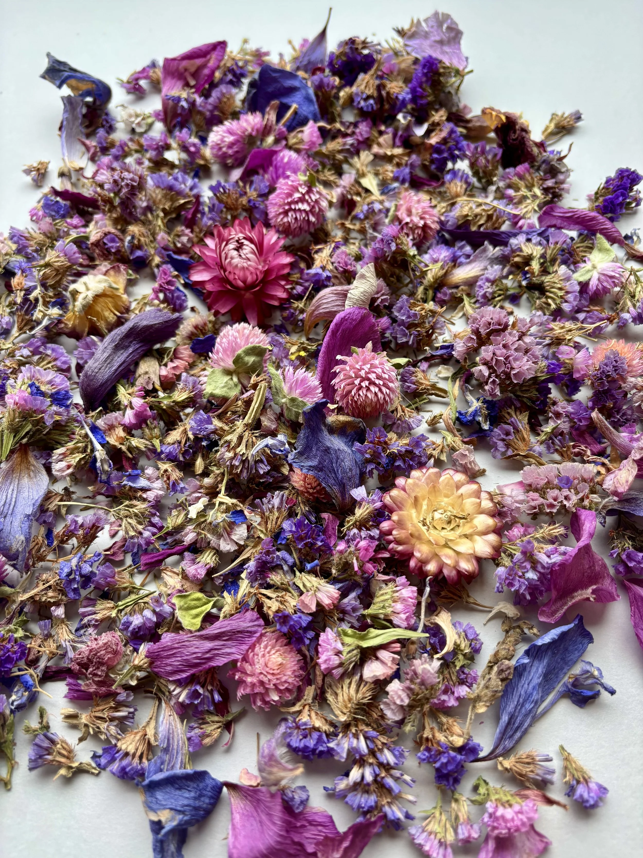 Dried Petals Purple