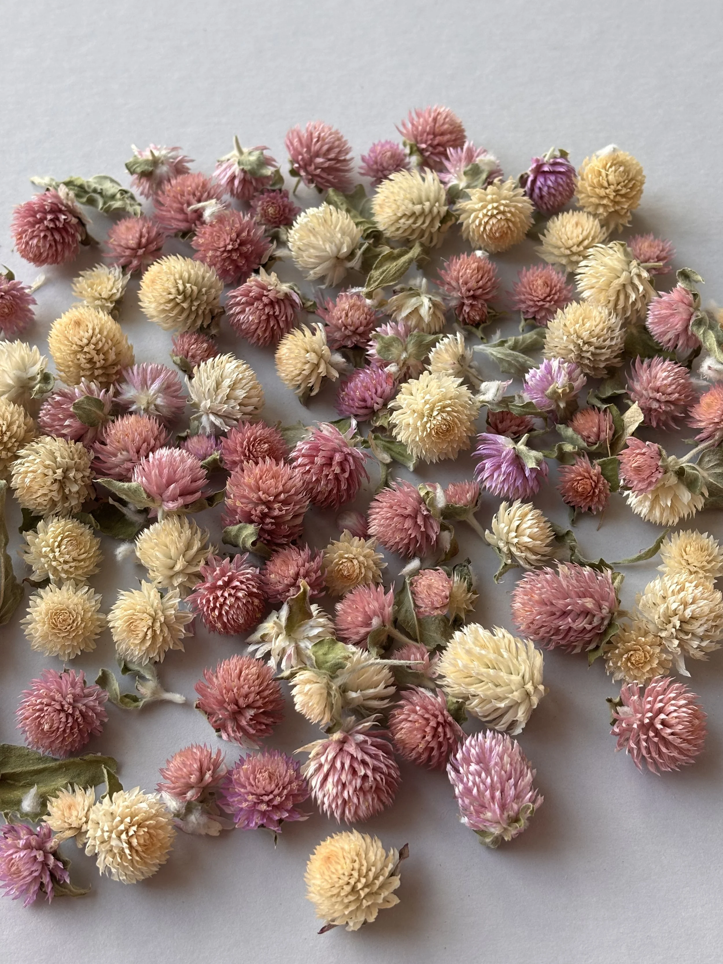 Dried Petals Mixed Gomphrena