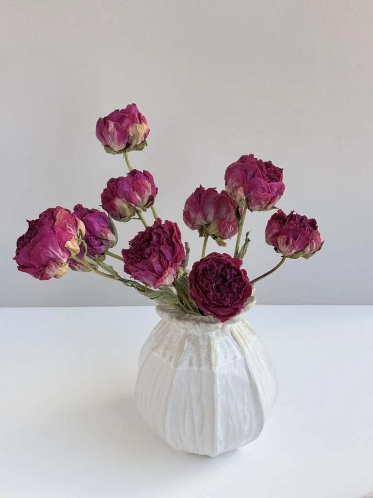 Dried Peony Pink
