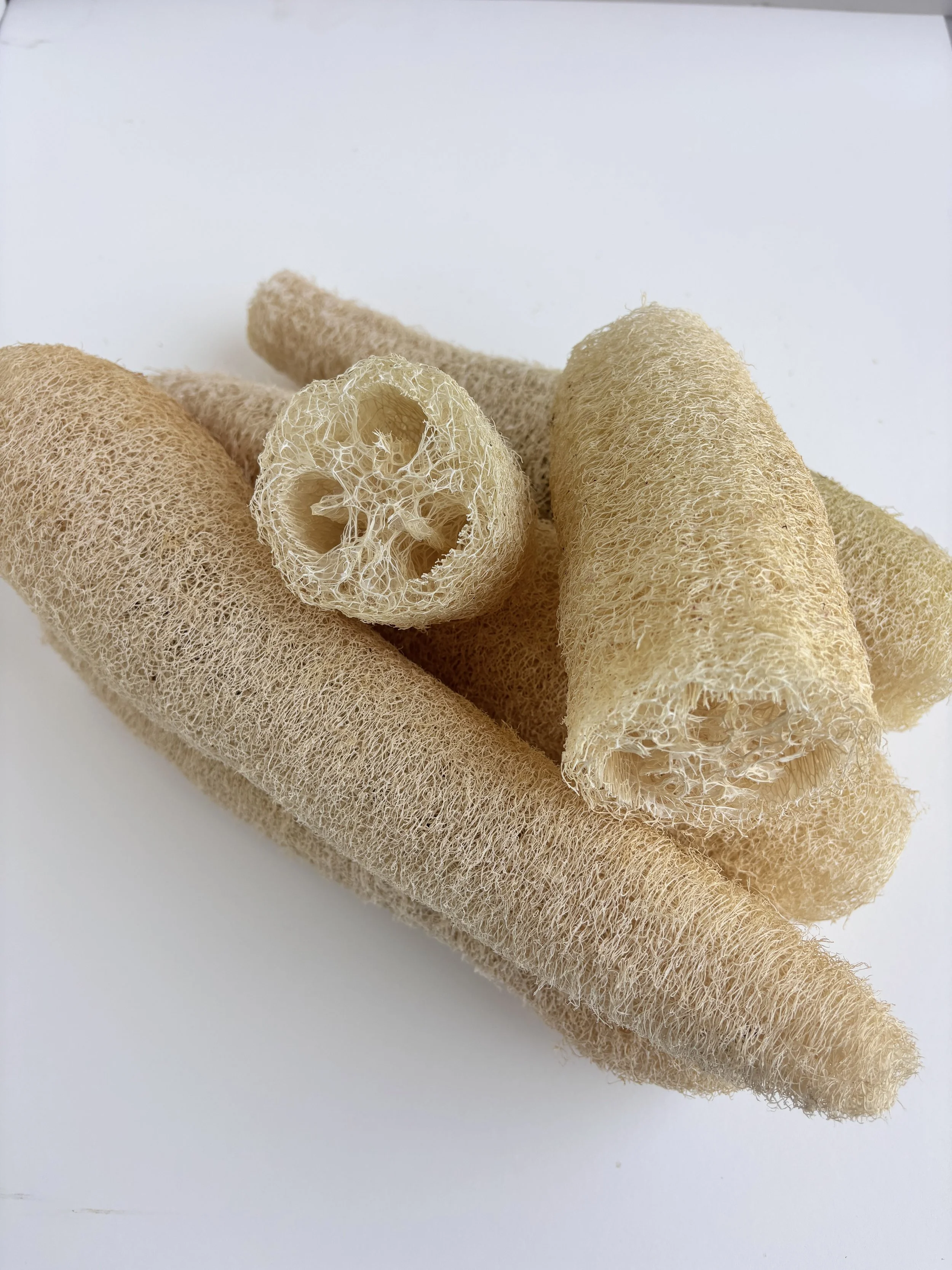 Dried Loofah