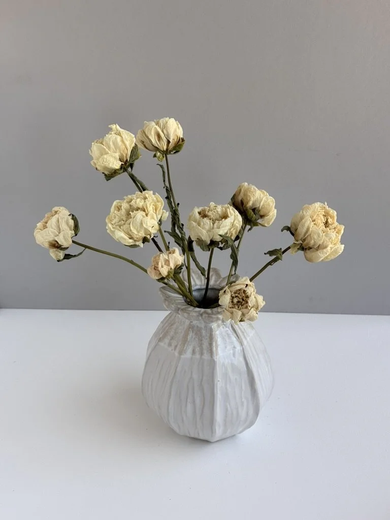Dried Peony Ivory