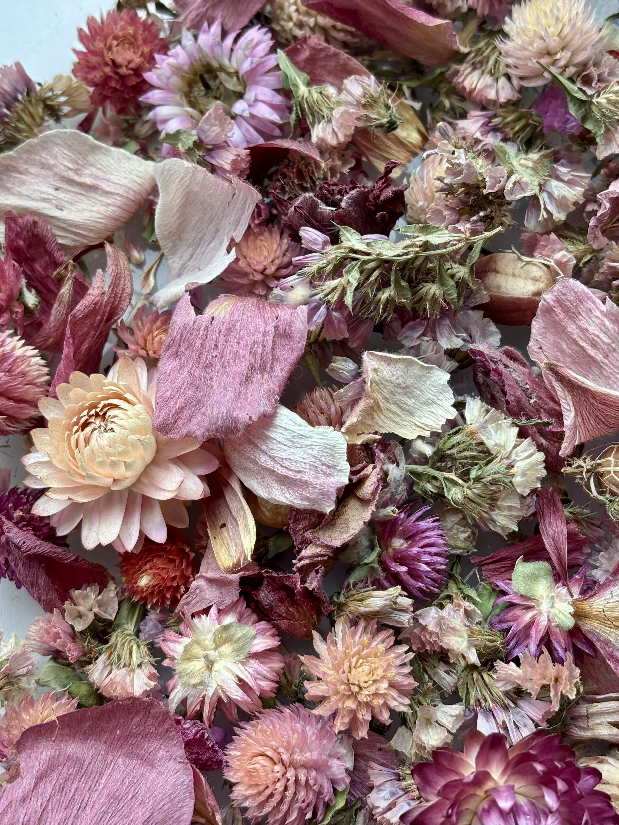 Dried Petals Pink
