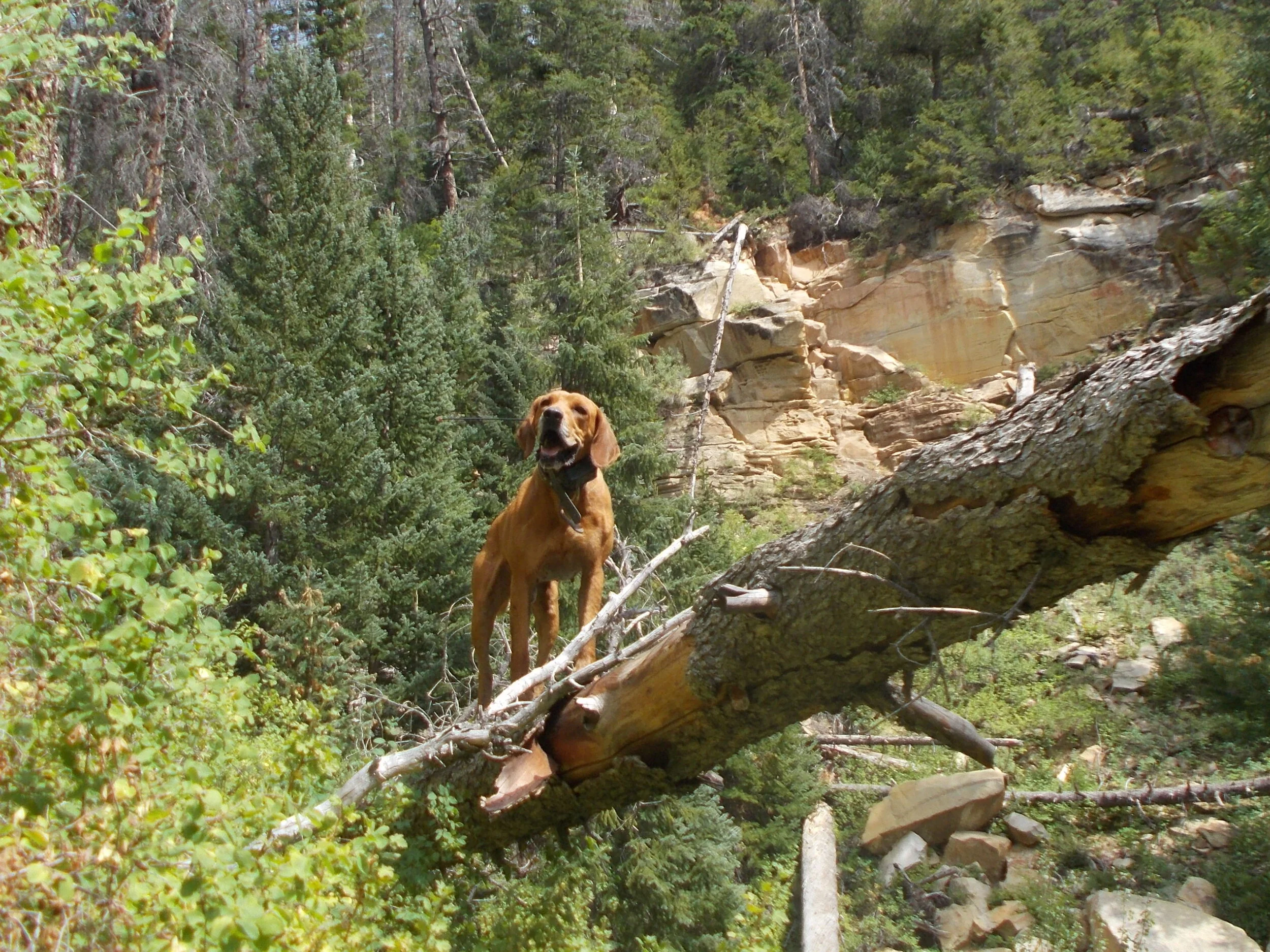 RSCN0605.JPG