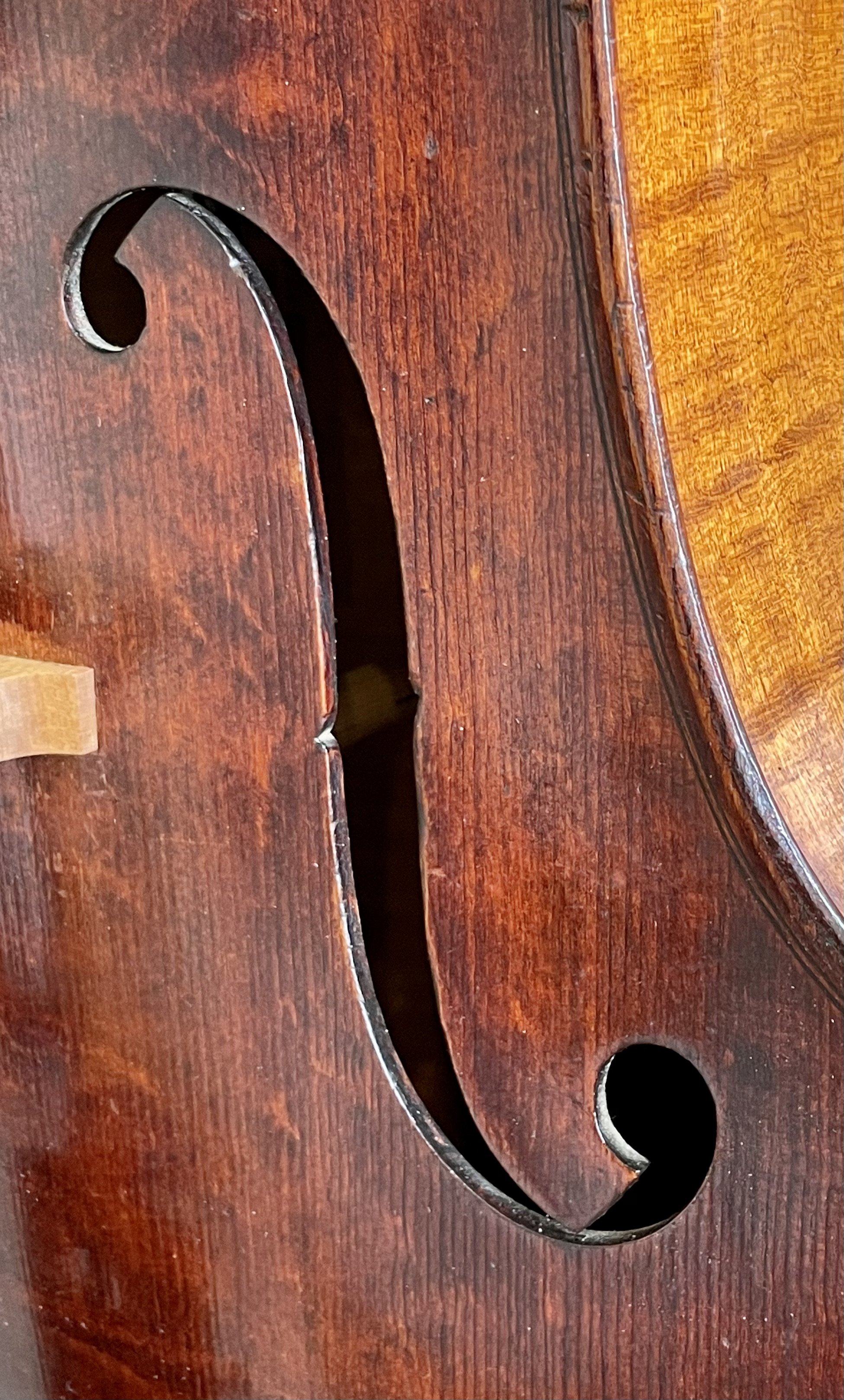 Violin by William Atkinson