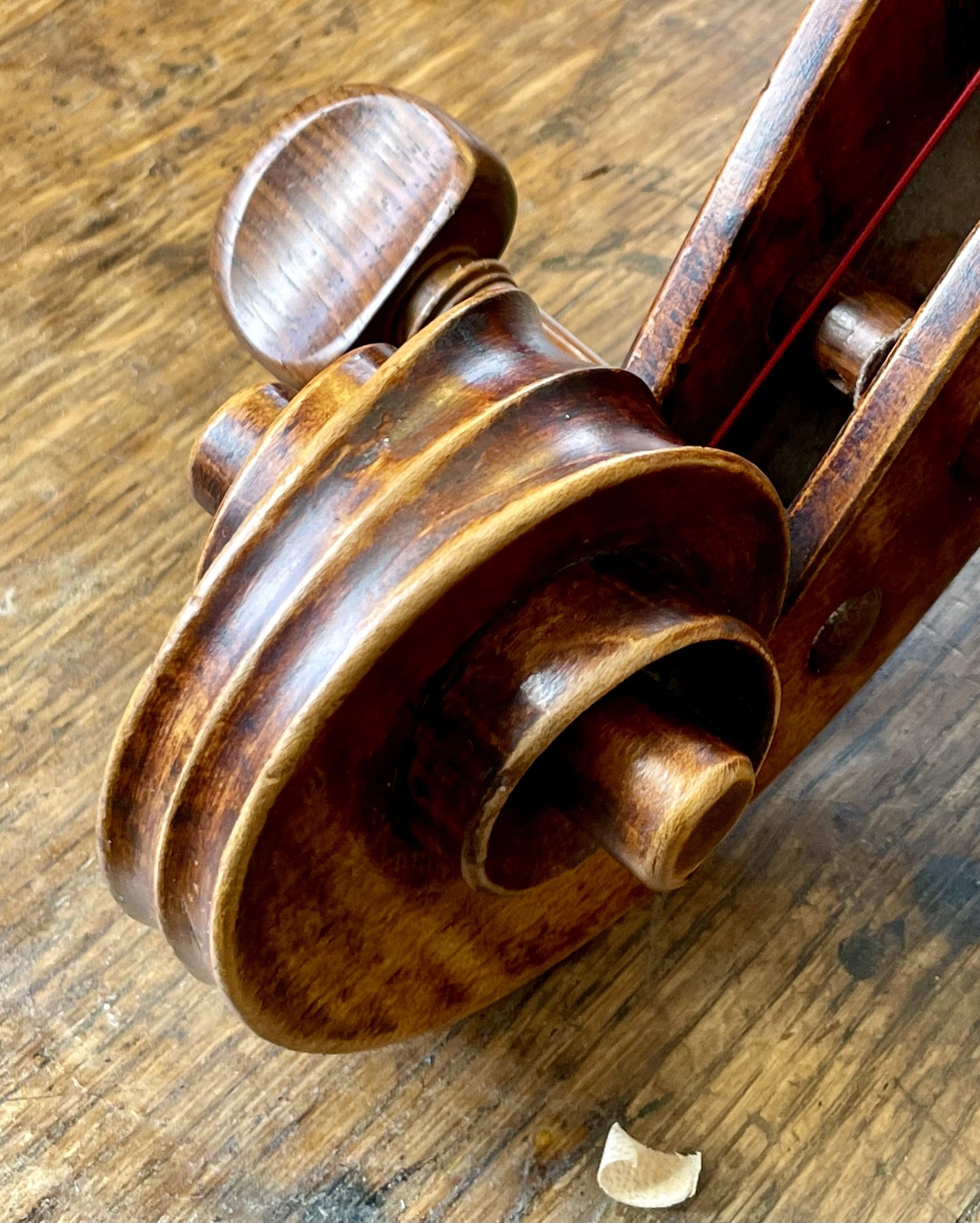 The confidently carved, stylish scroll of the cello