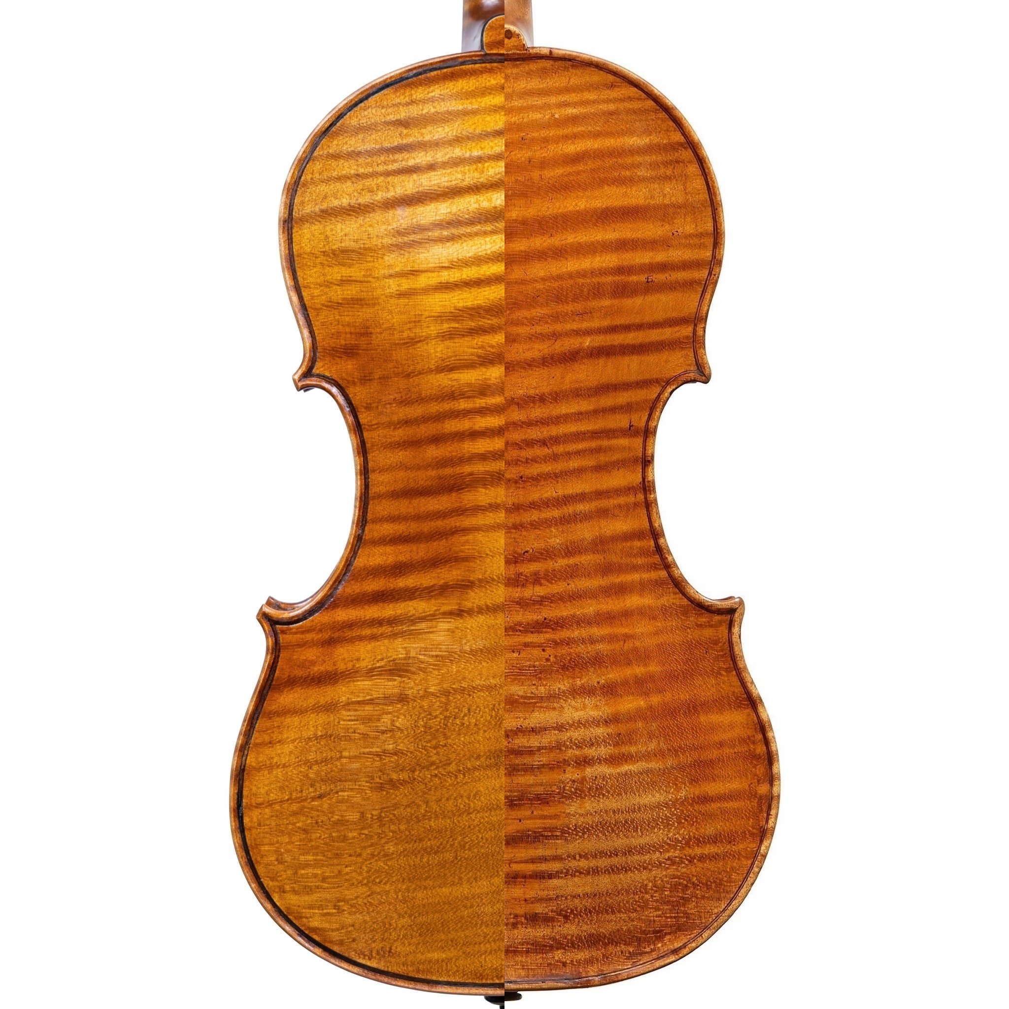 Professional Contemporary Violin