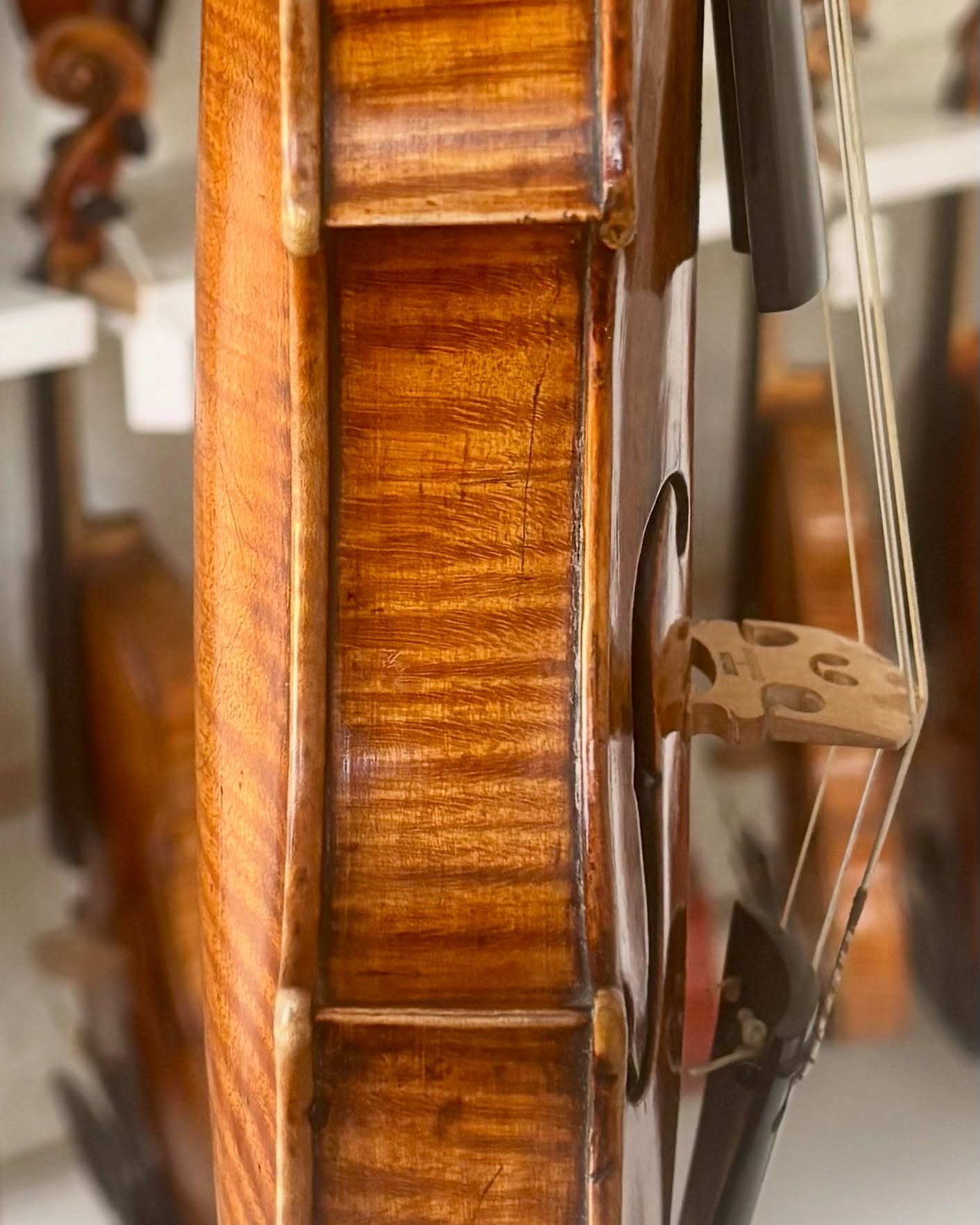 A full clean of a classical Italian violin. The ribs, front, back, neck &amp; scroll are meticulously and sympathetically cleaned using specialist restoration products. The pegs, tailpiece &amp; endpin are buffed, any metal parts are polished &amp; o