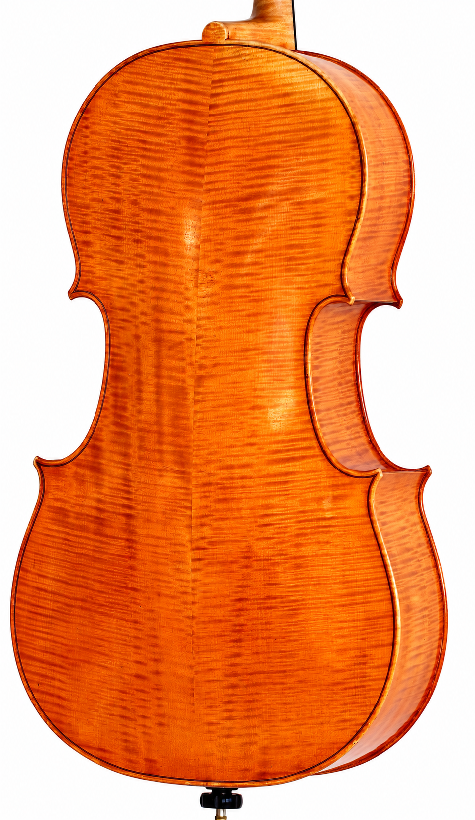 Flame Maple Cello Back in Amber Varnish.png