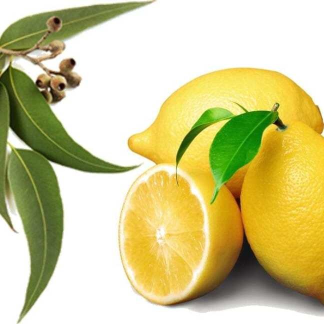 Eucalyptus-Lemon.jpeg