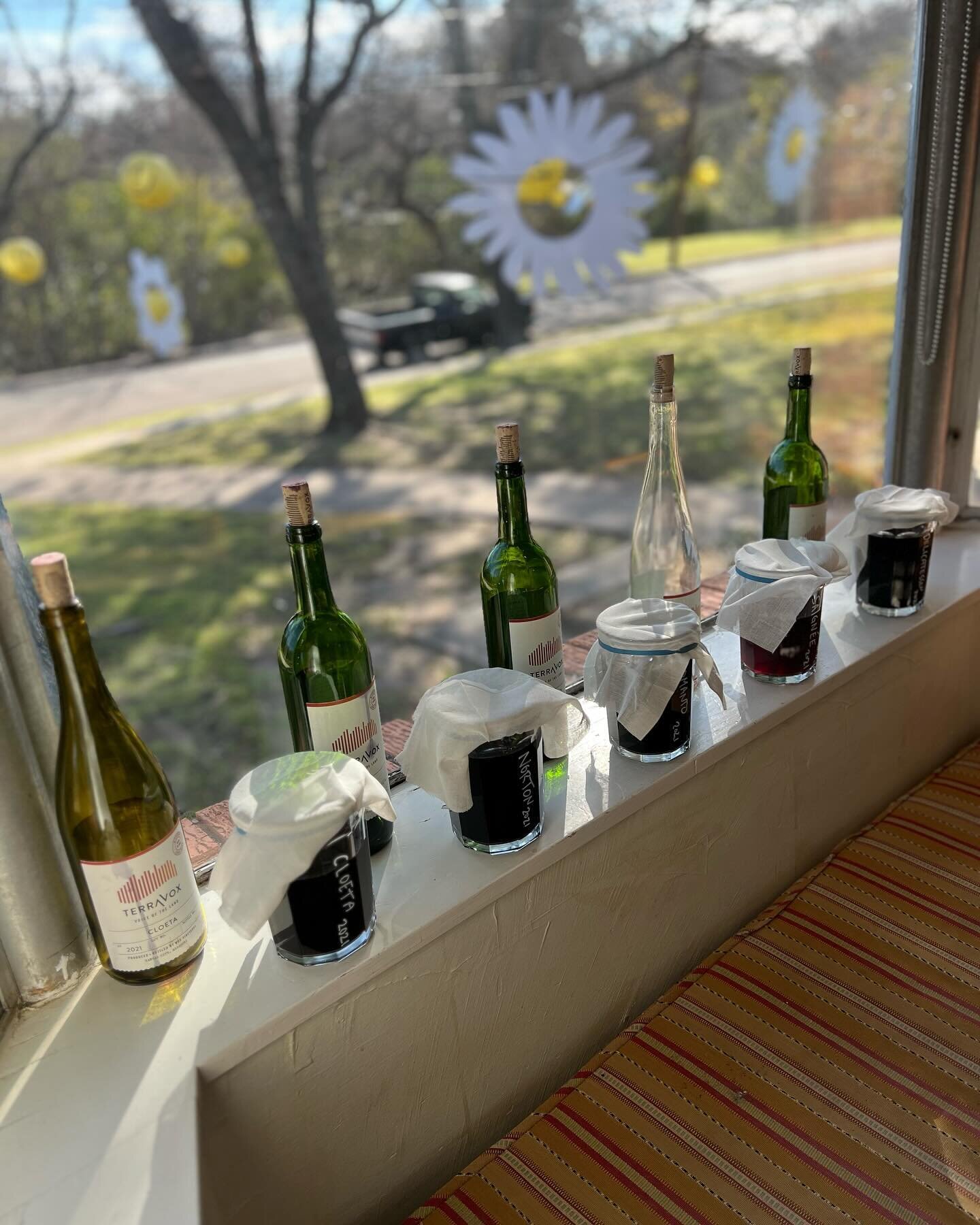 Vinegar Trials
.
Culinary Director @ericnystrom doing some Vinegar trials with five varietals of native American grapes. We will be experimenting with cultivating these amazing historic grape varietals, and will adventure with you into making our own