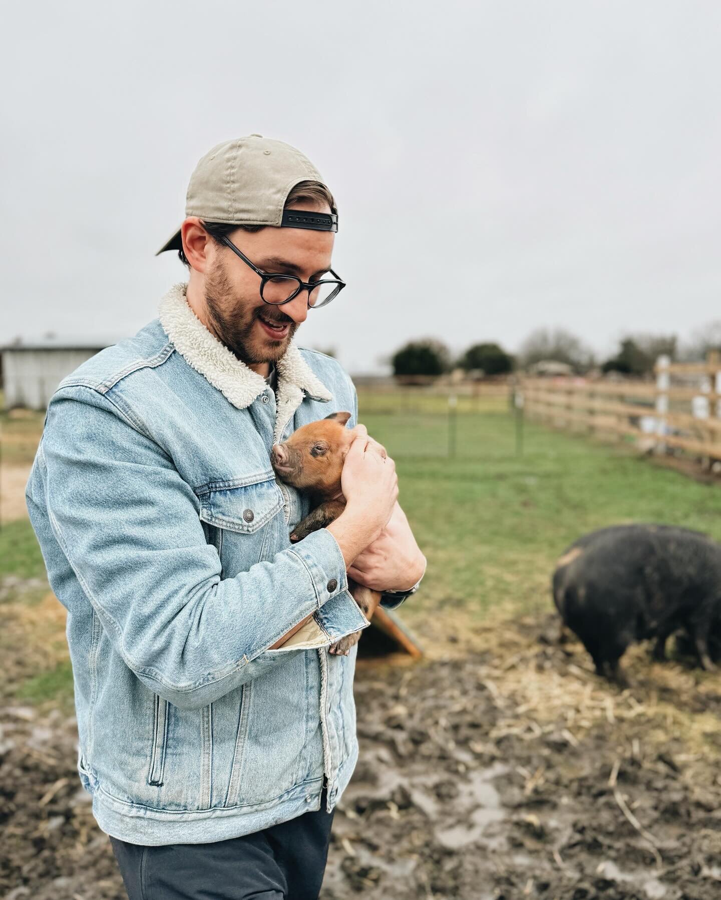 This year at the farm, we are focusing on introducing two essentials: animals and tree crops. I want to back up a little bit and explain the &ldquo;why&rdquo;. If you live in Oak Cliff, raising livestock in the city isn&rsquo;t anything new. (Shoutou