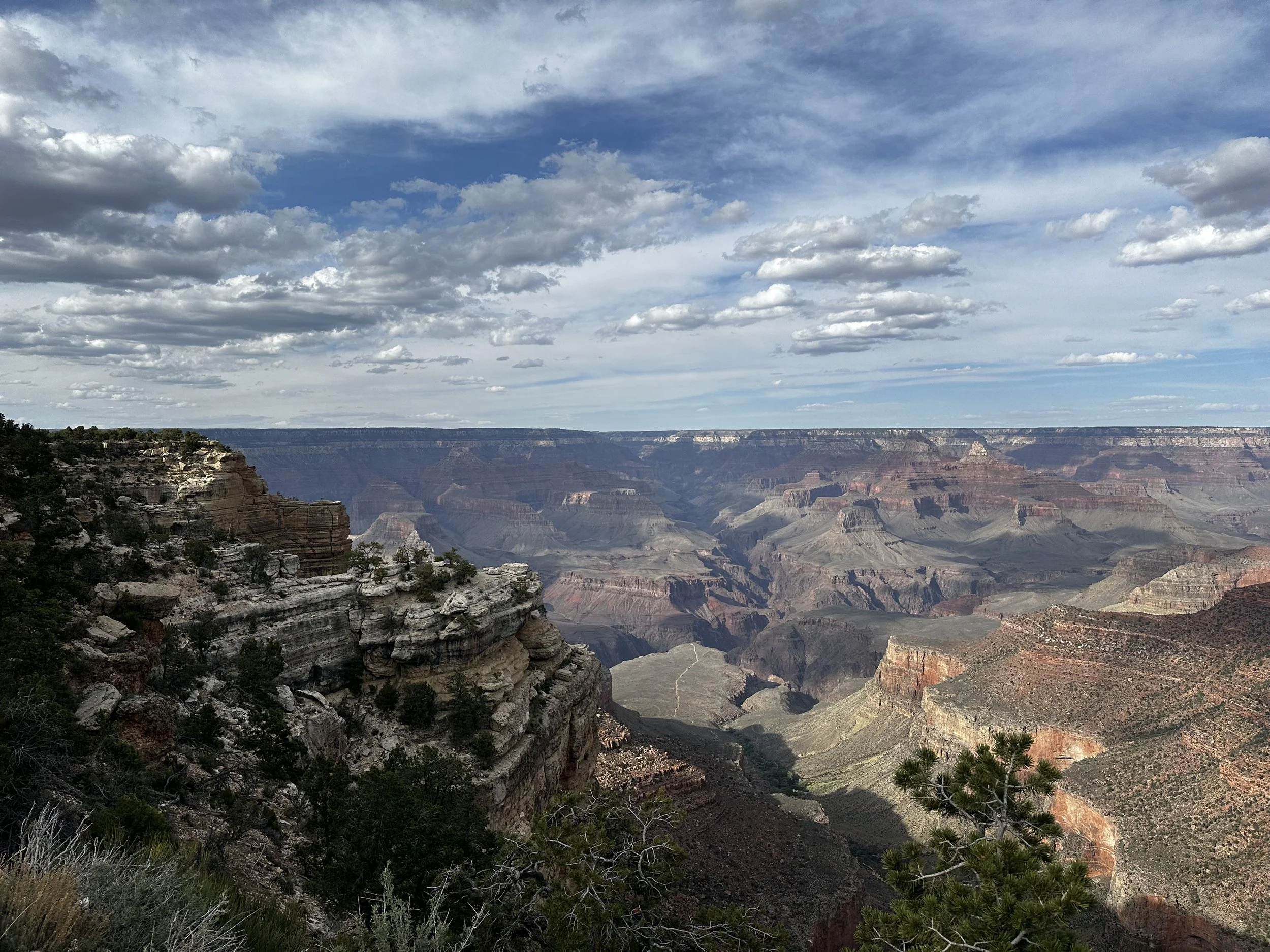 IMG_9136.jpeg