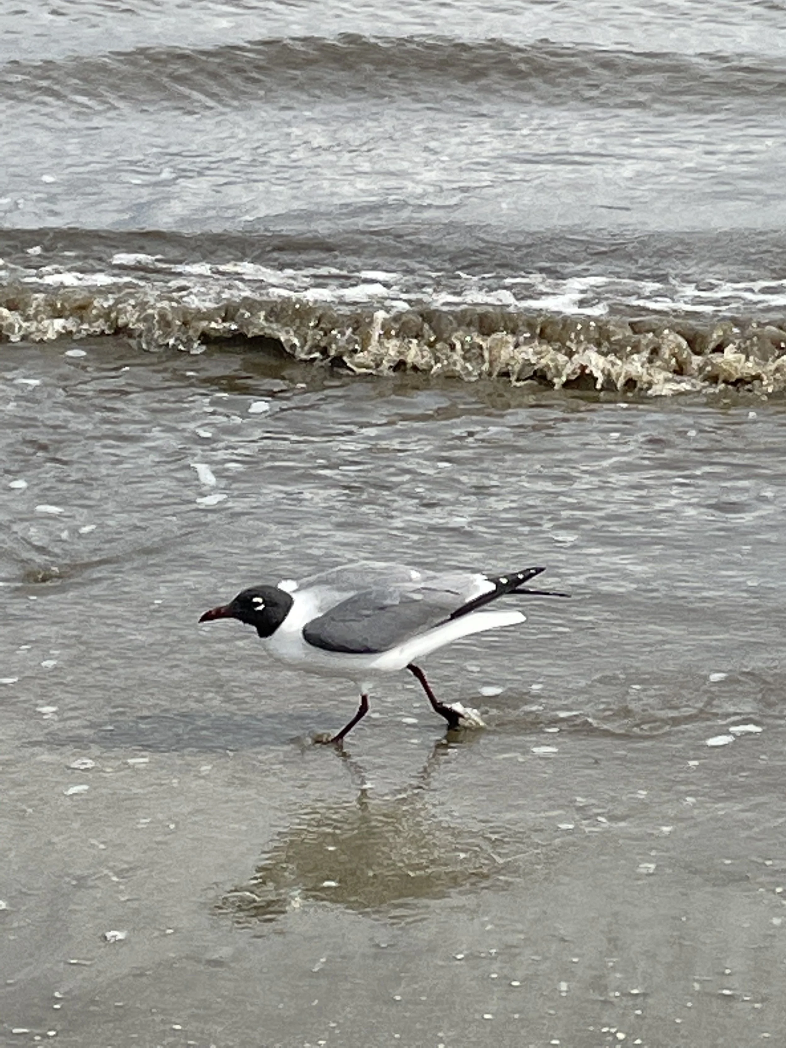 IMG_0881.jpeg