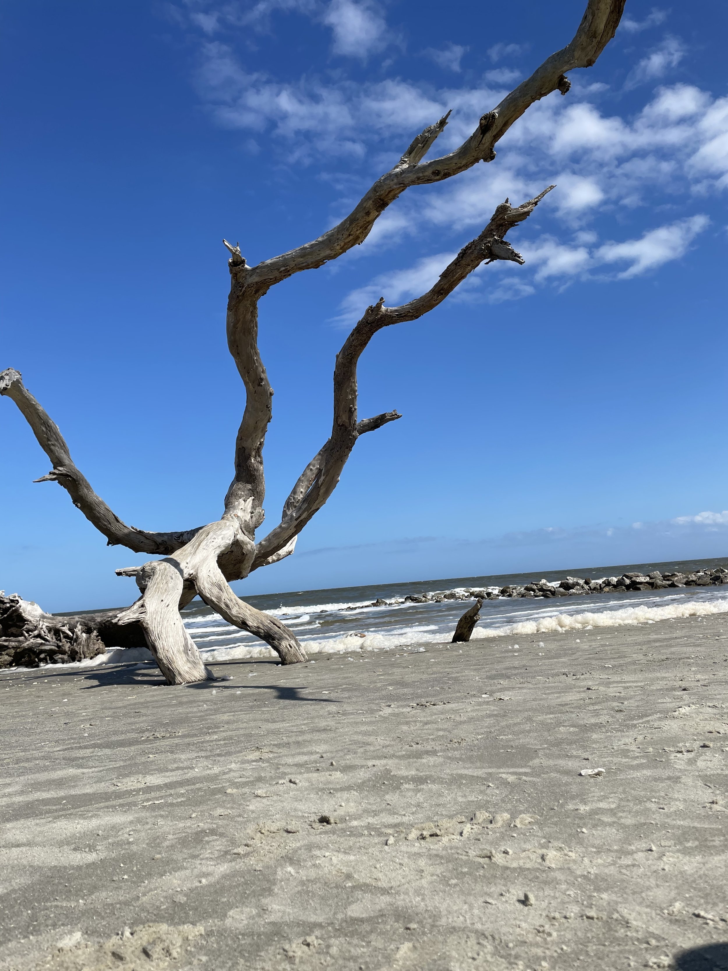 IMG_0432.jpeg