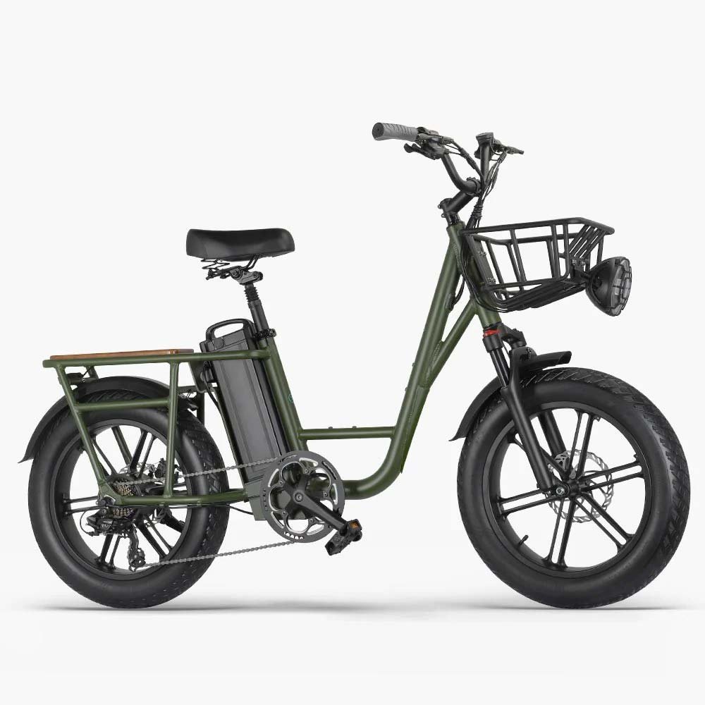 Fiido T1 Electric Bike Green — BIKEFACTORY HAWAII HONOLULU WAIPIO