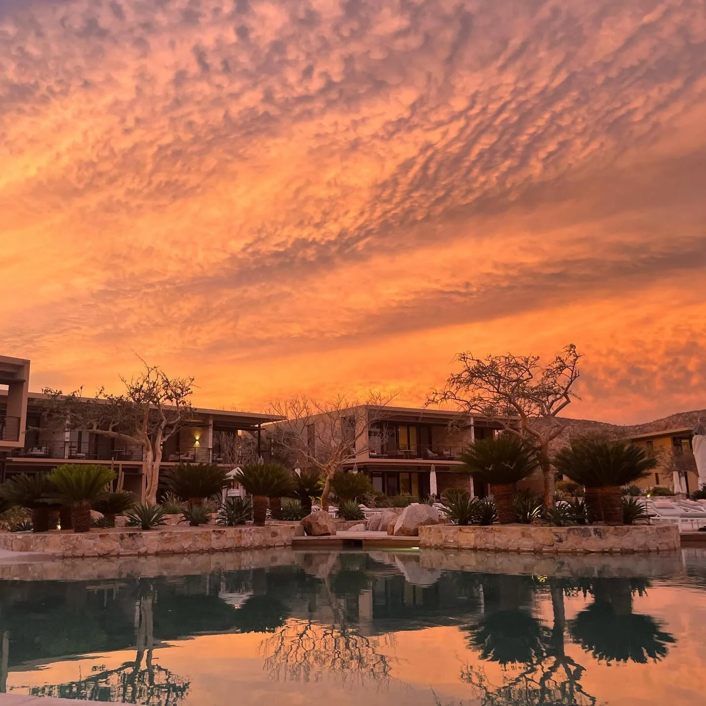 While it&rsquo;s always nice to come home after a good trip, I do find myself wishing I could soak in the views @montageloscabos and little more. 🌅