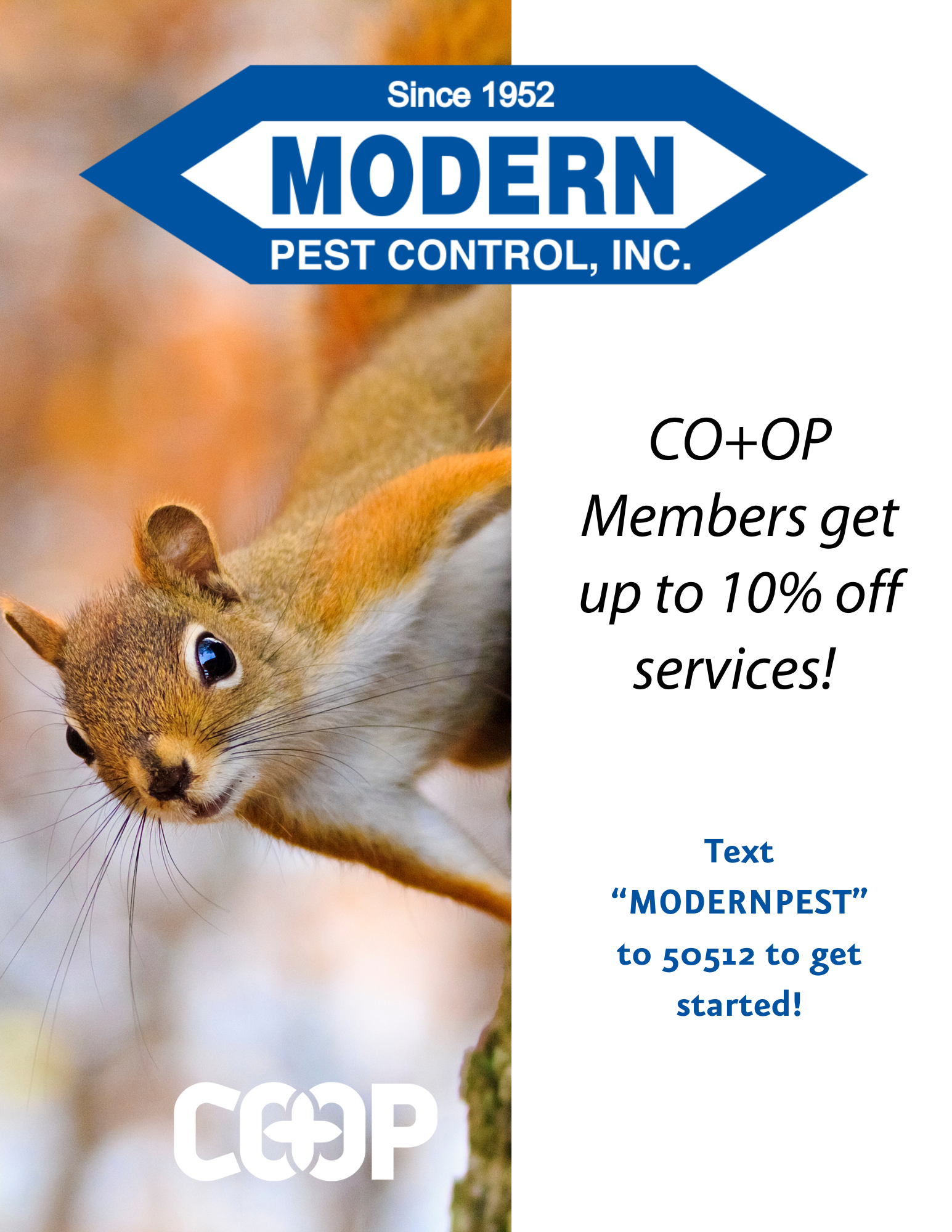 Modern Pest Special Offer .png