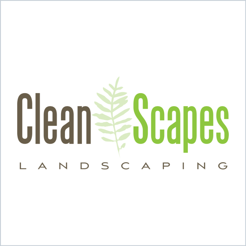 CleanScapes Webiste.png