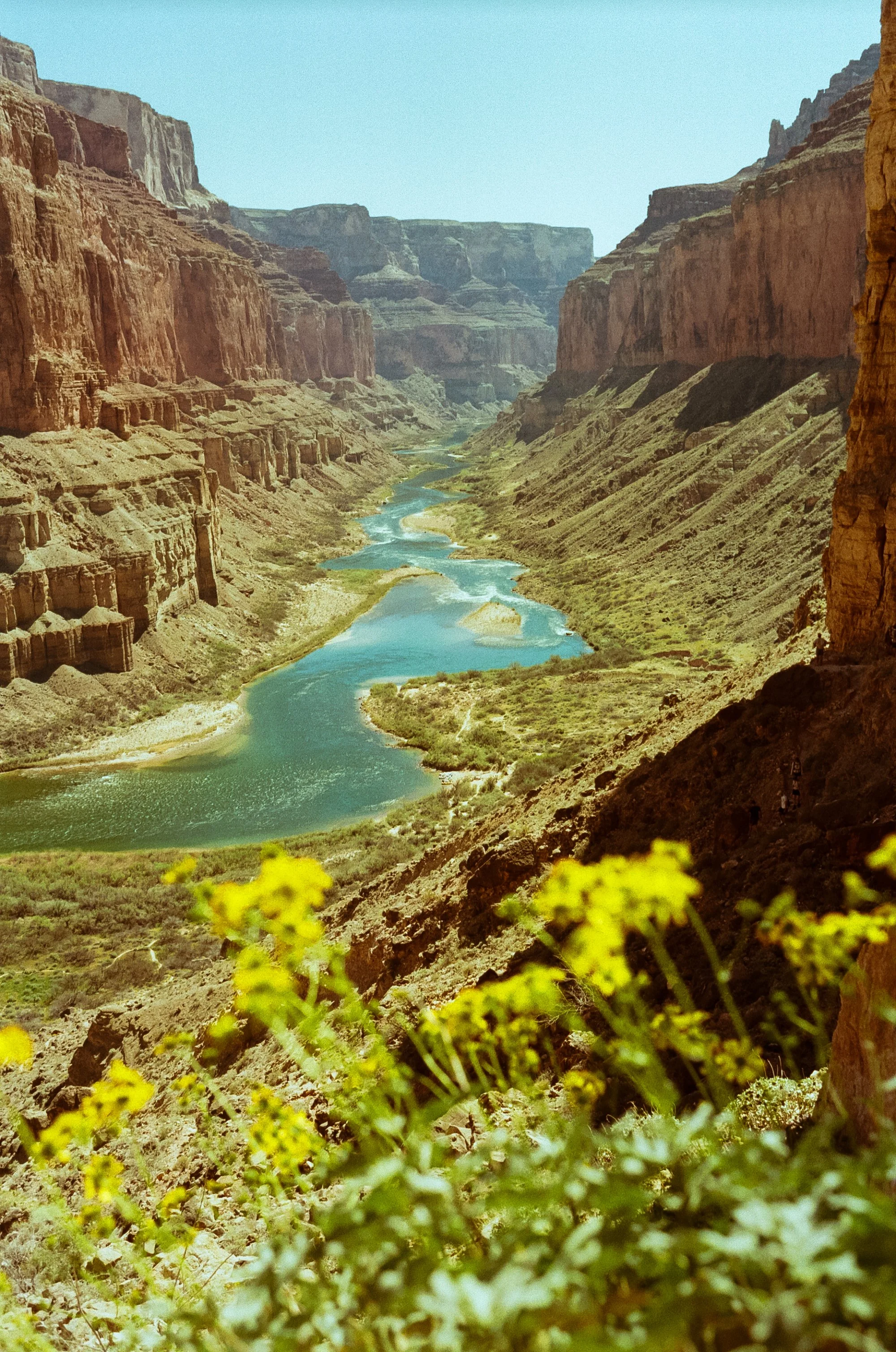 kodak_200_c_41_Grand Canyon 2026_2647_127537_284477_002843060038.jpg