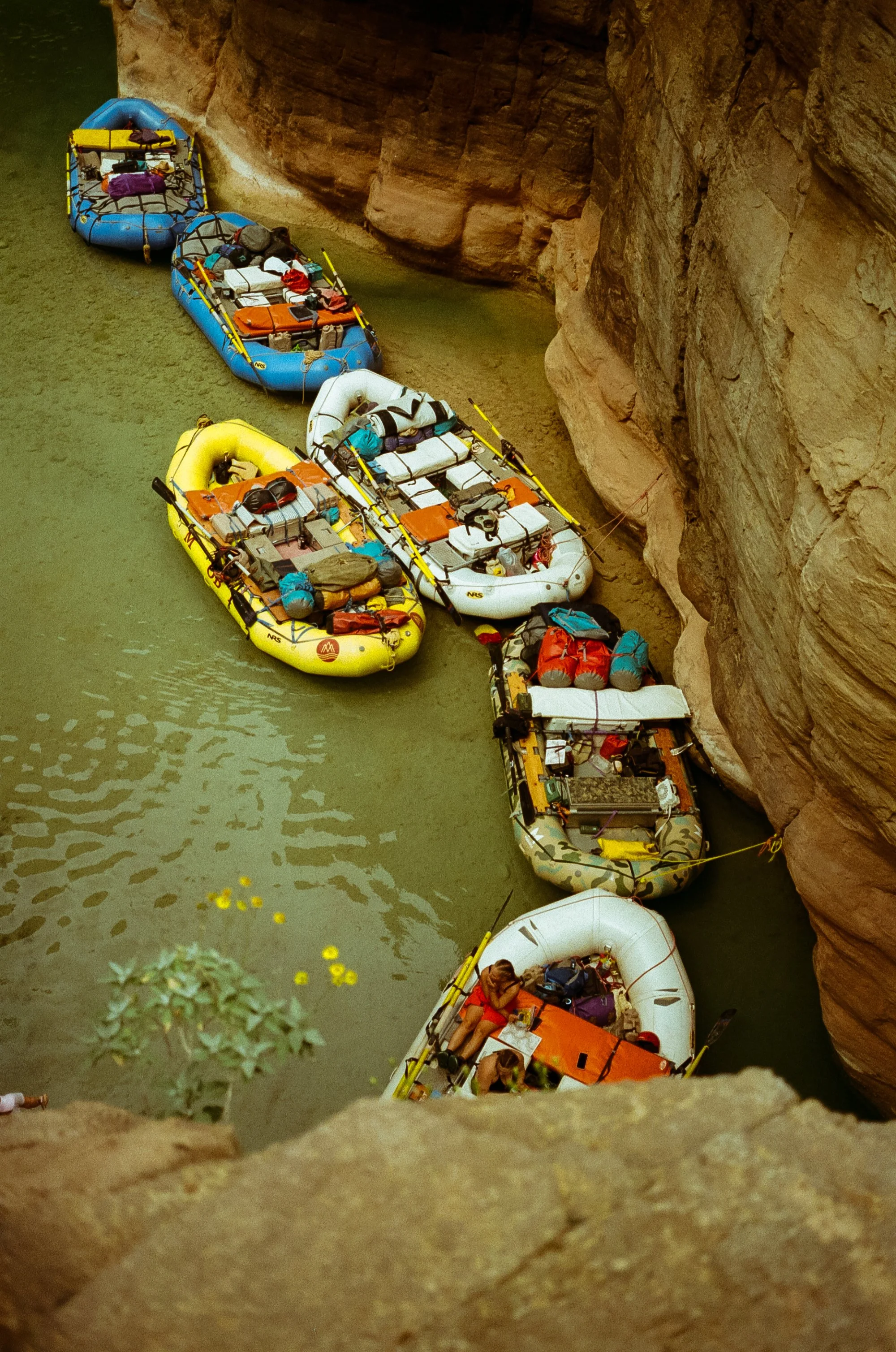 kodak_200_c_41_Grand Canyon 2026_2647_127537_284476_002843050033.jpg