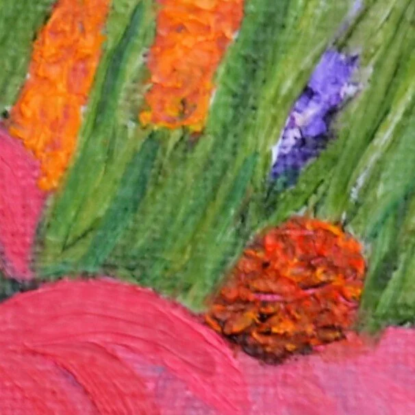 Flower Field Zoom .JPG