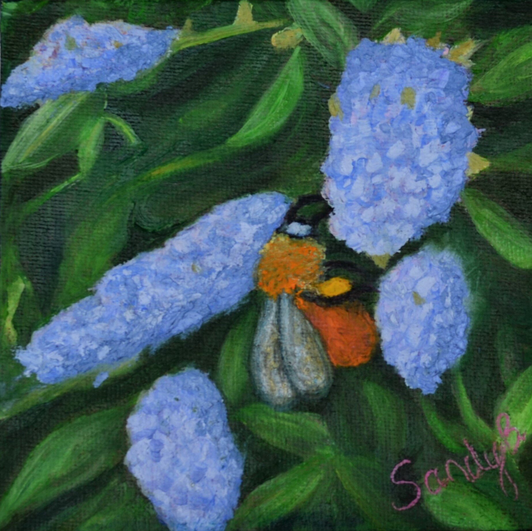 California Lilac with a Bee