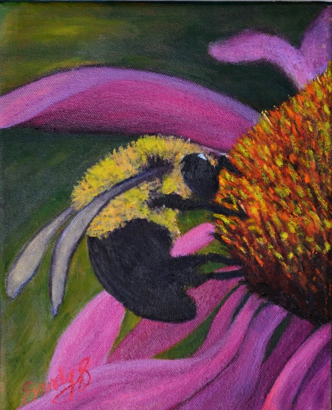 Echinacea with a Bee 