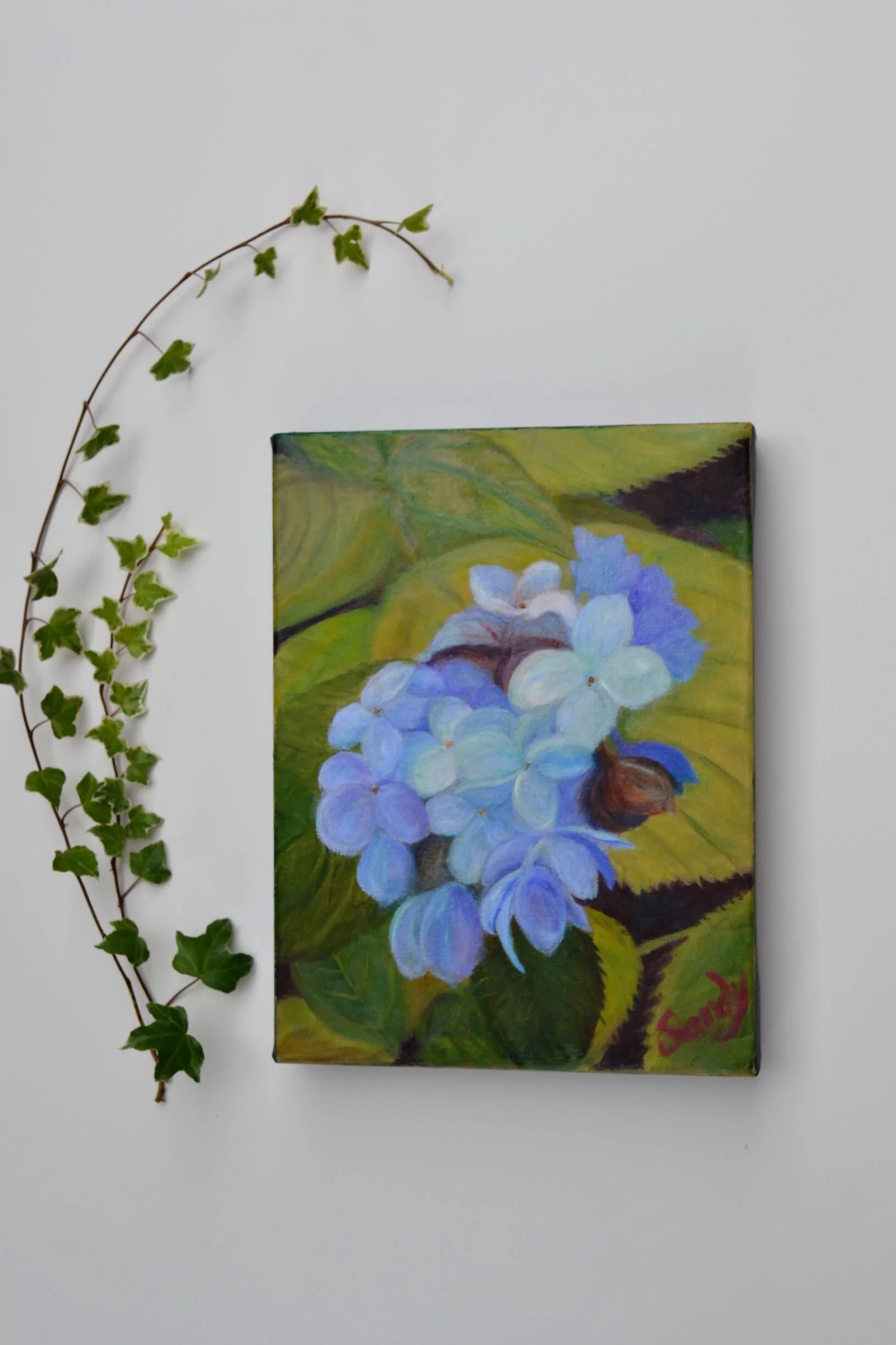 Fall Hydrangea Hanging Low Res .JPG