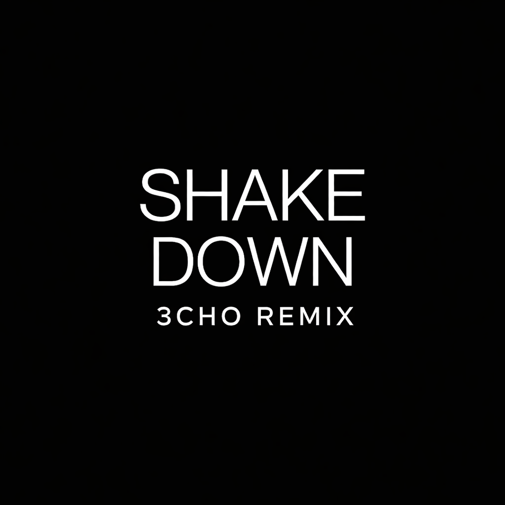 Shakedown (3CHO Remix)