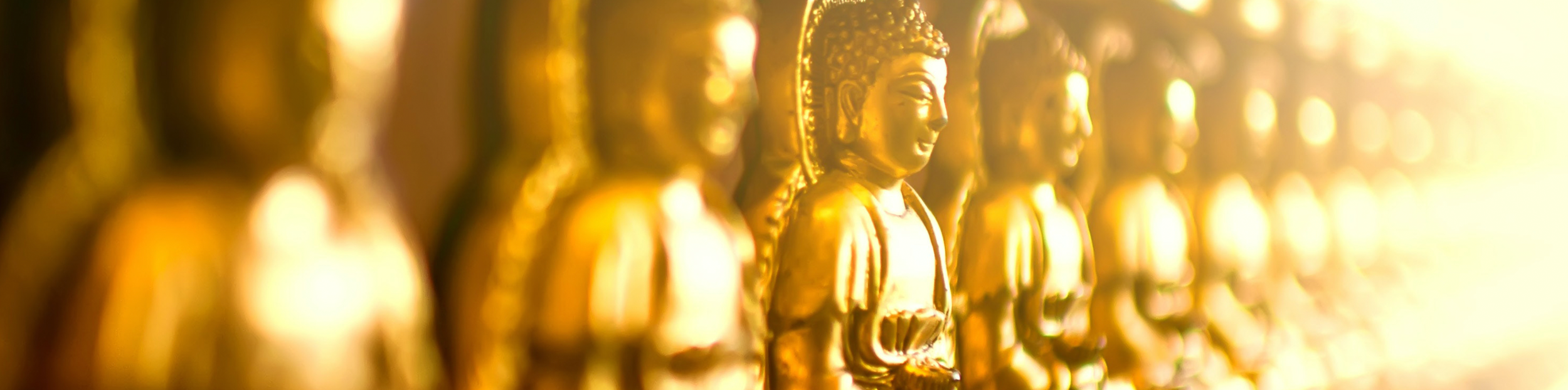 The four elements of true love according to Buddha