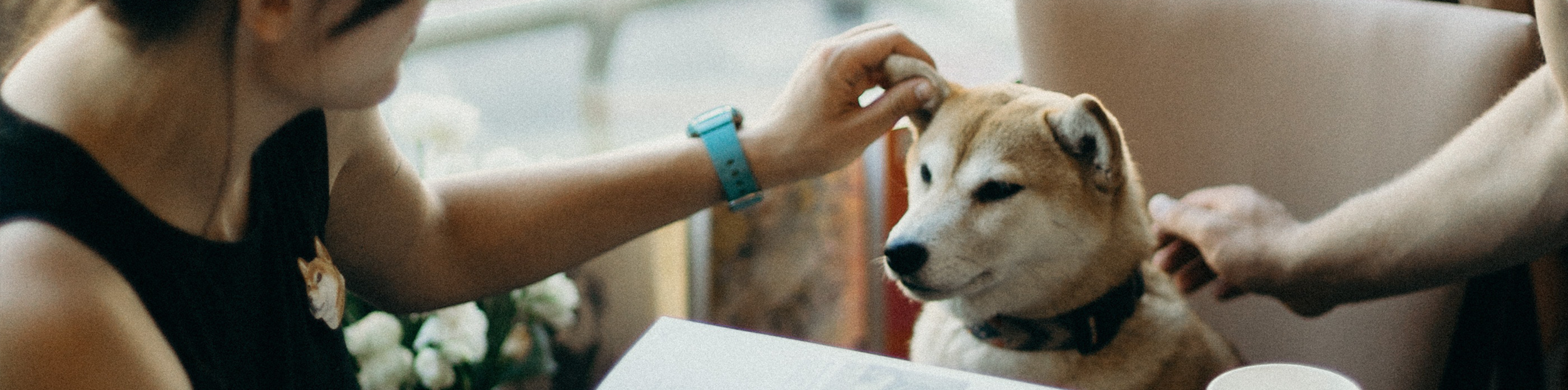 Looking for love? Ditch the dating apps and get a pet.