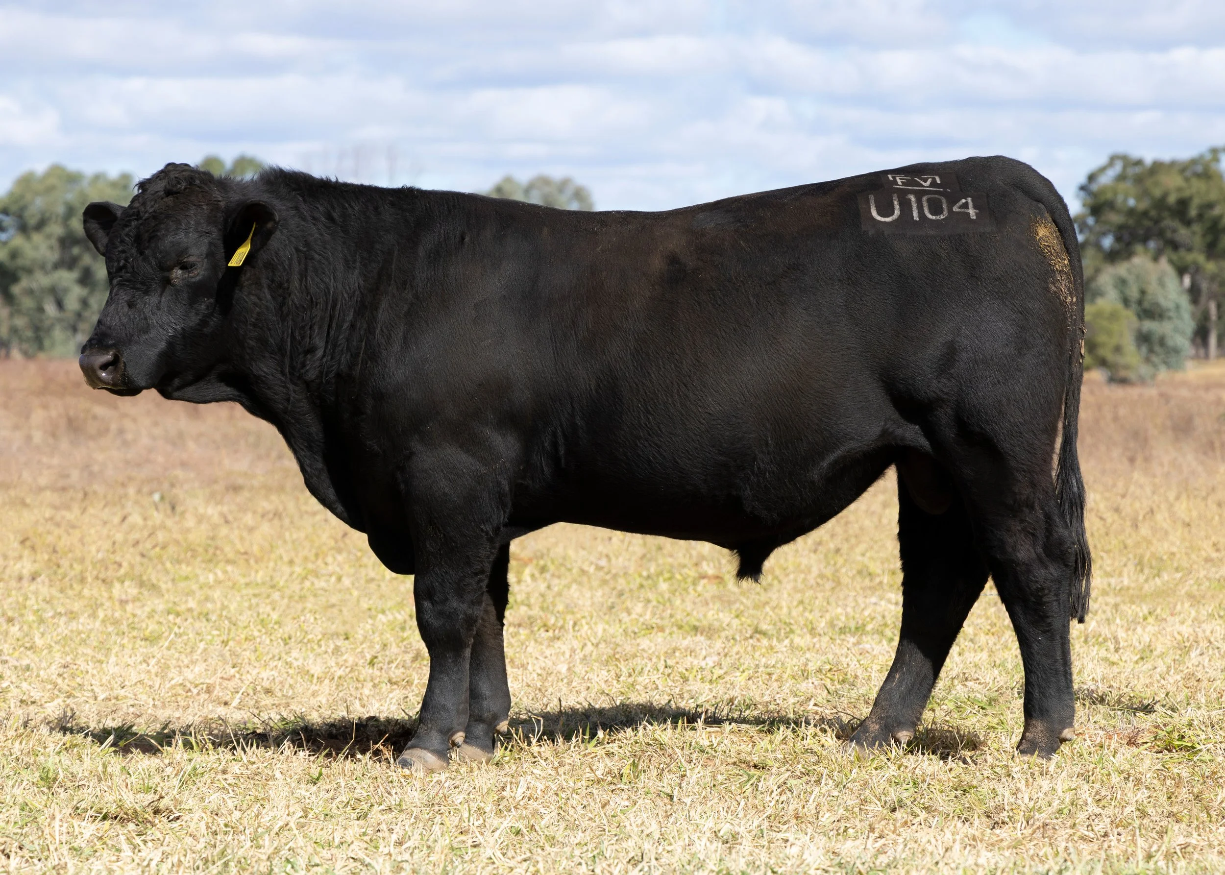 LOT 10 - FAIRVIEW UNIQUE U104 (PP) (AI) (B)
