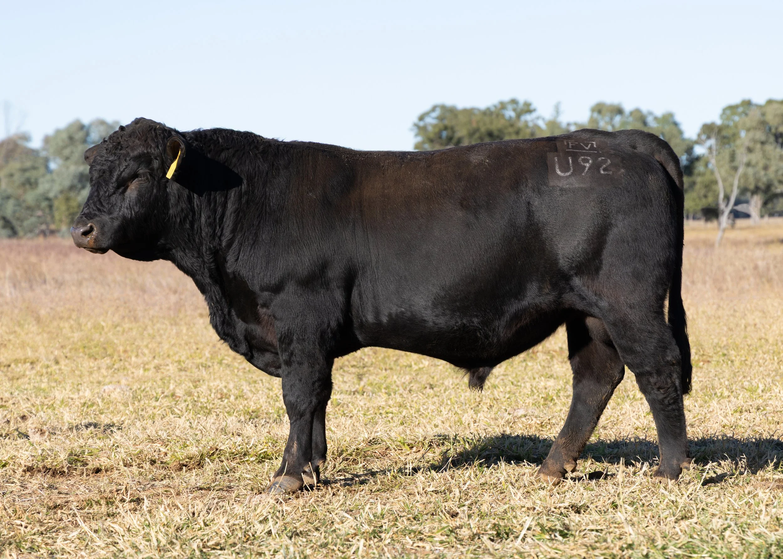 LOT 26 - FAIRVIEW USEFULL U92 (PP) (AI) (B)