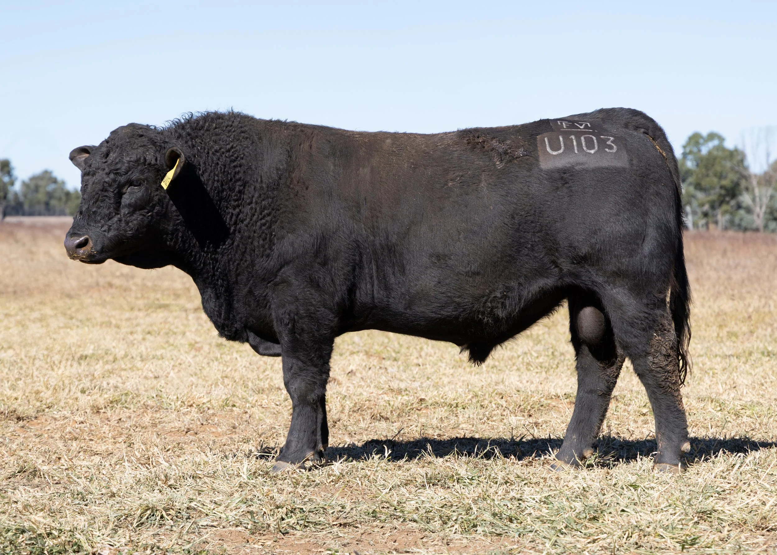 LOT 28 - FAIRVIEW UNITY U103 (PP) (AI) (B)