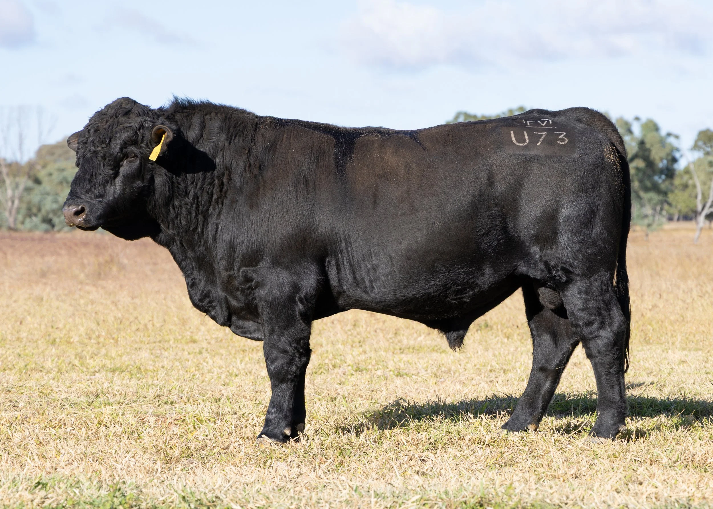 LOT 9 - FAIRVIEW UNMISTAKABLE U73 (PP) (AI) (B)